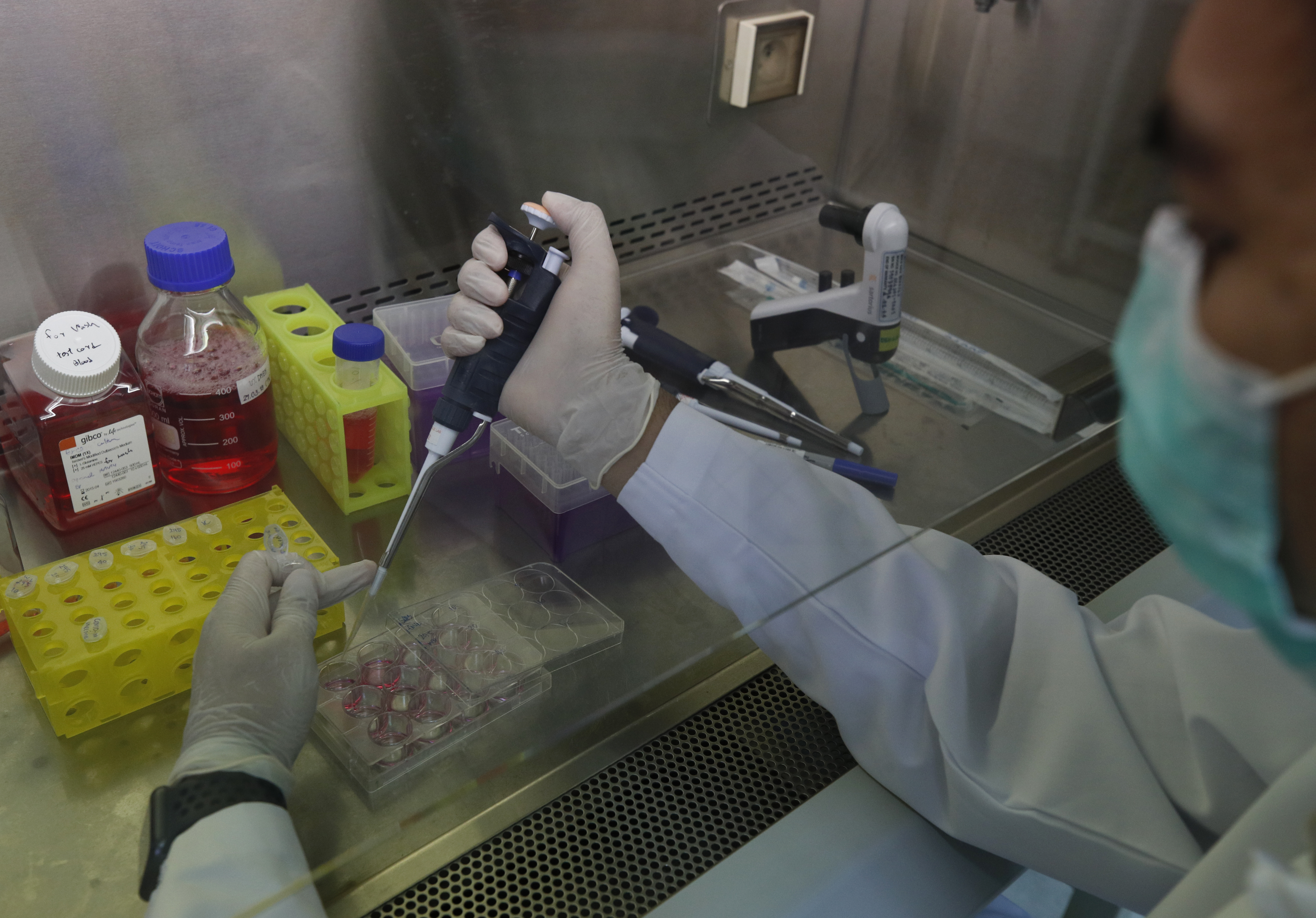 EPA-EFE/RUNGROJ YONGRIT