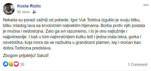 Kosta-Ristić.png
