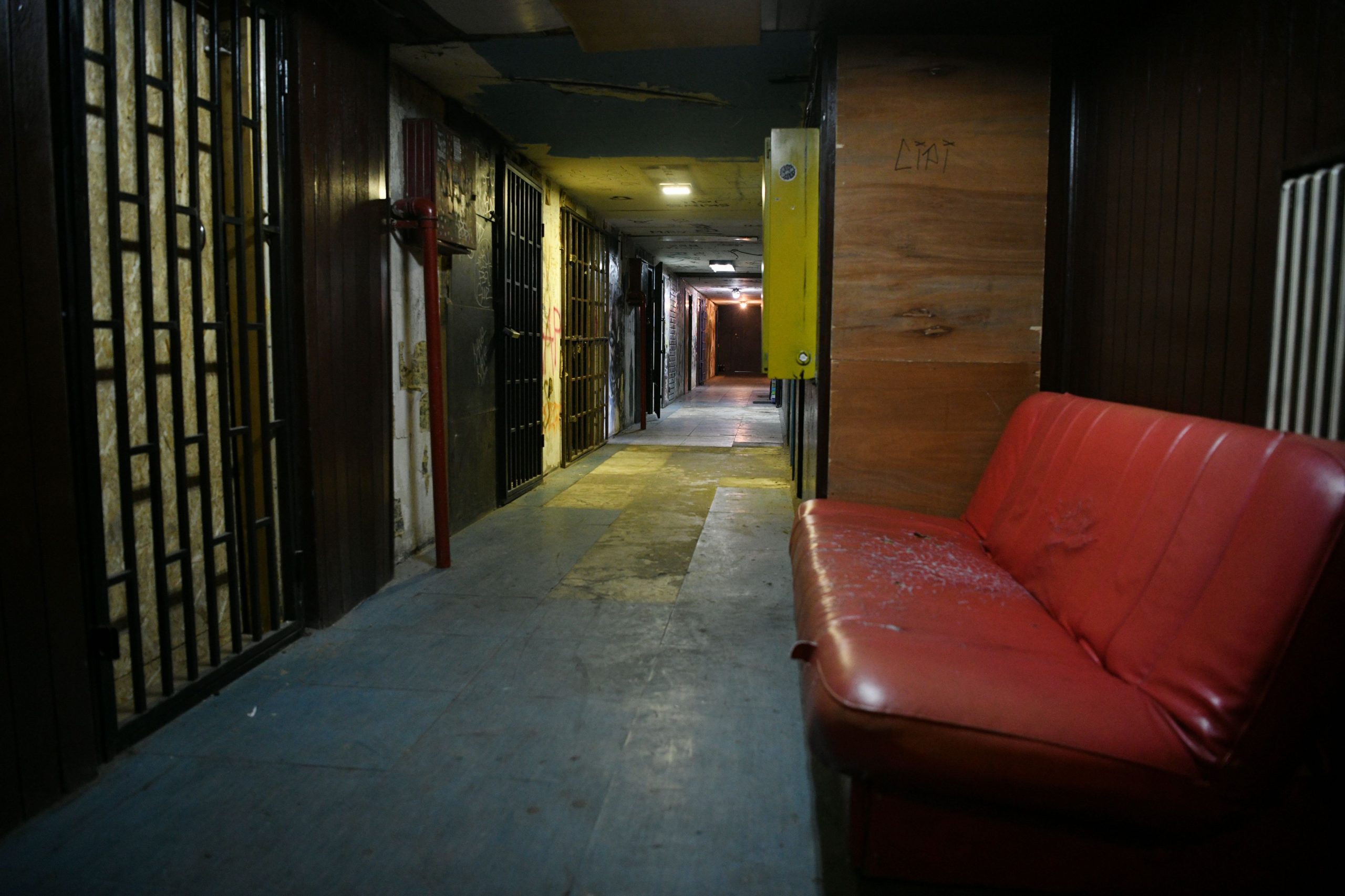 Beograd 25. jun 2020. Bigz Foto:Filip Krainčanić