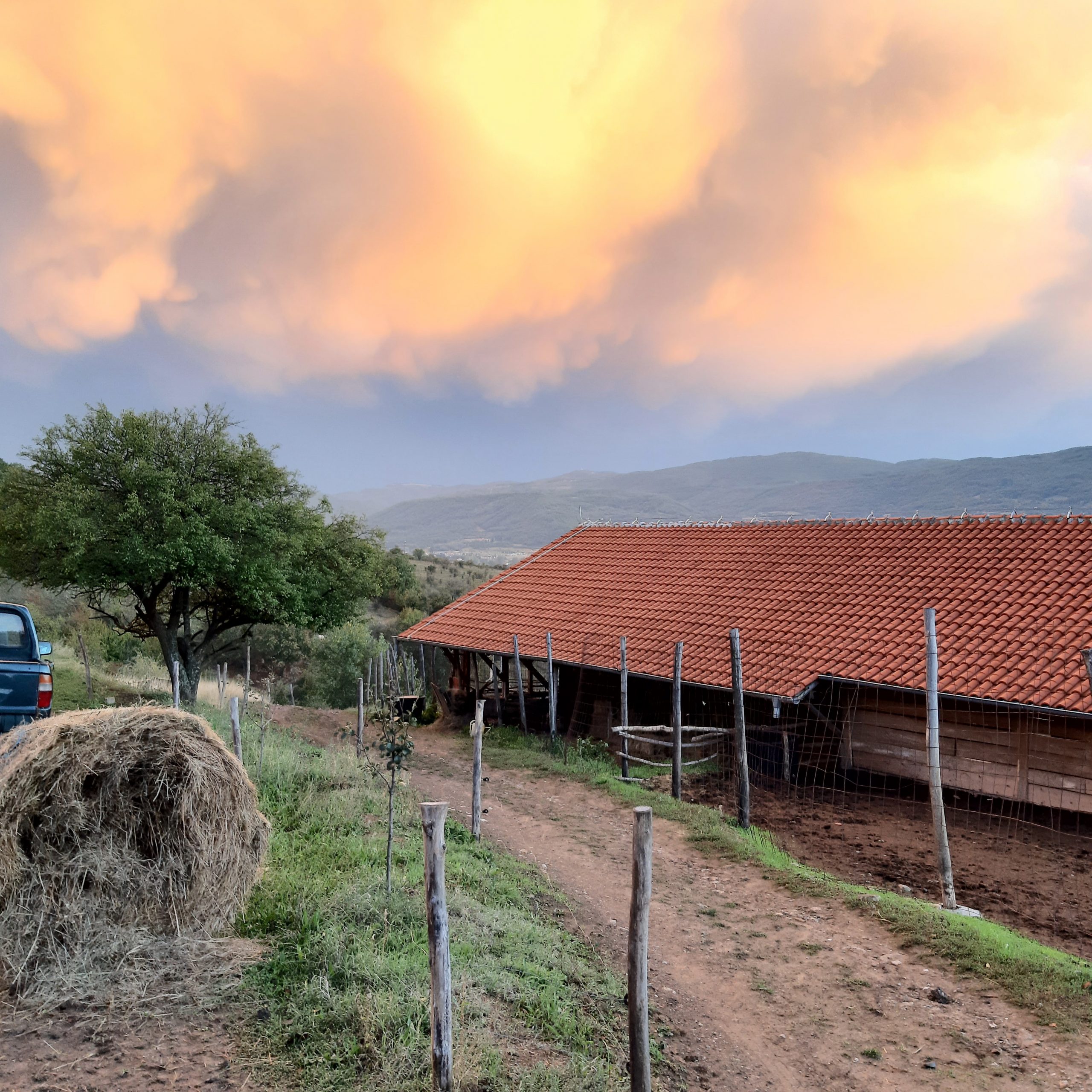 Sergej Ivanov, magareća farma, prosledila Nevena Dimitrijević