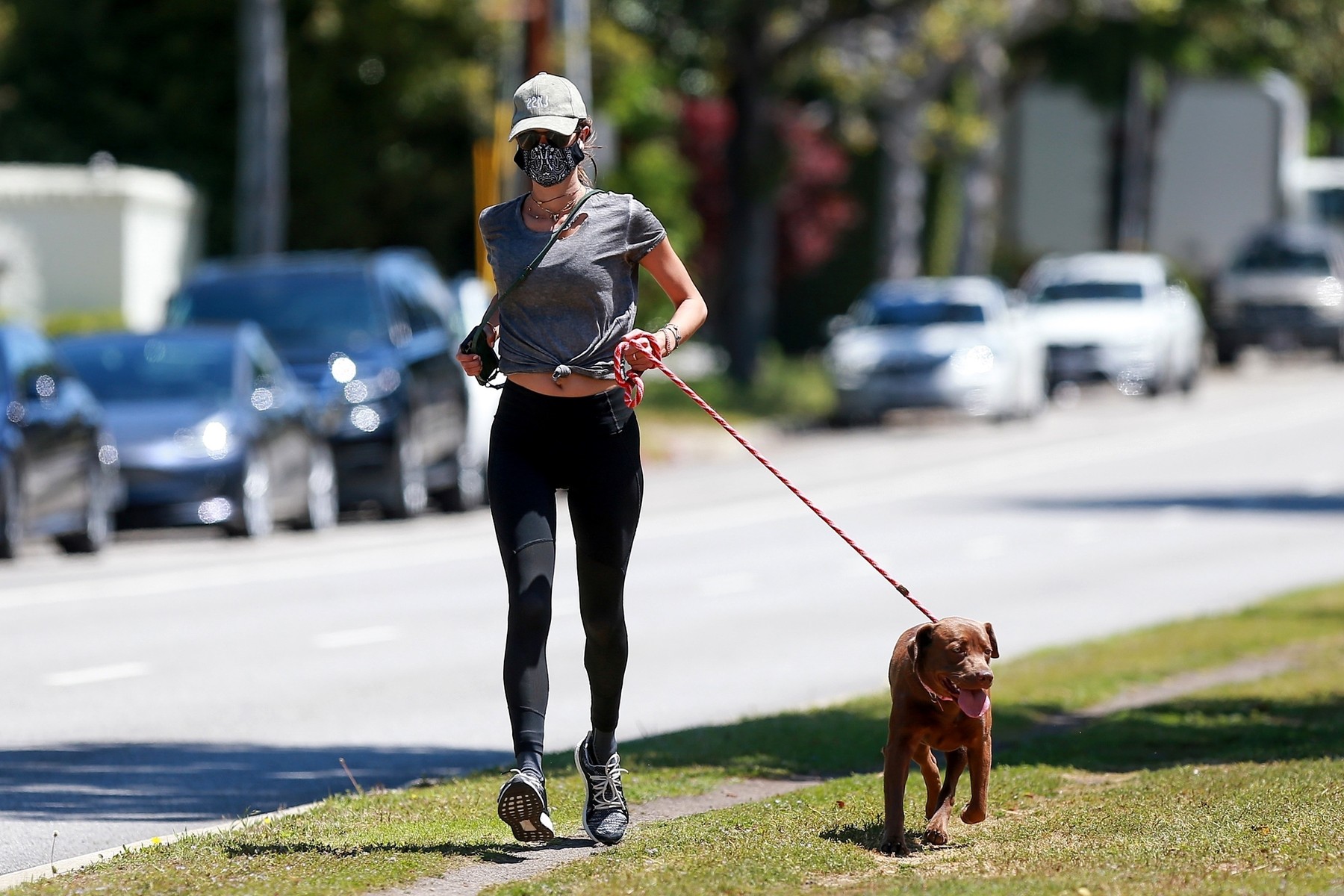 Alessandra Ambrosio brings her Dog for a Run