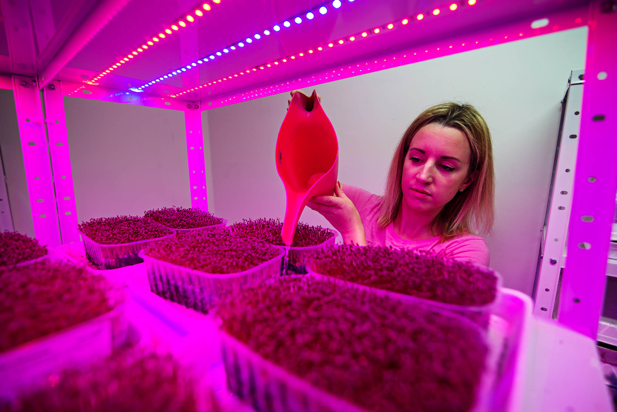 Jana Mitrović iz Beograda, gaji mikrobilje i jestivo cveće