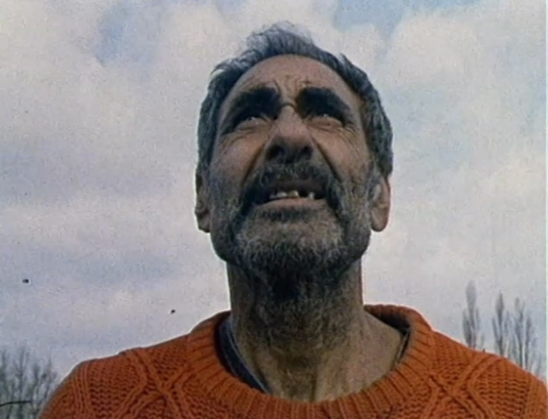 "Columba urbica" kratkometražni dokumentarni film reditelja Gorana Radovanovića