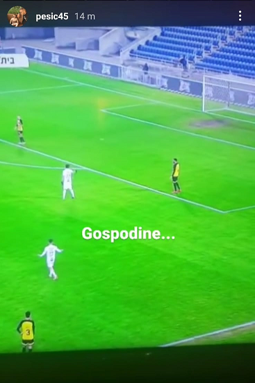 Pesic-111.png