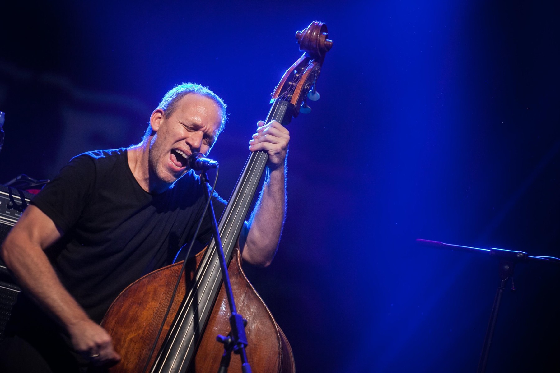 Avišai Koen Trio Foto: Jasmin Brutus / Alamy / Alamy / Profimedia
Image: 210922458, License: Rights-managed, Restrictions: , Model Release: no, Credit line: Jasmin Brutus / Alamy / Alamy / Profimedia