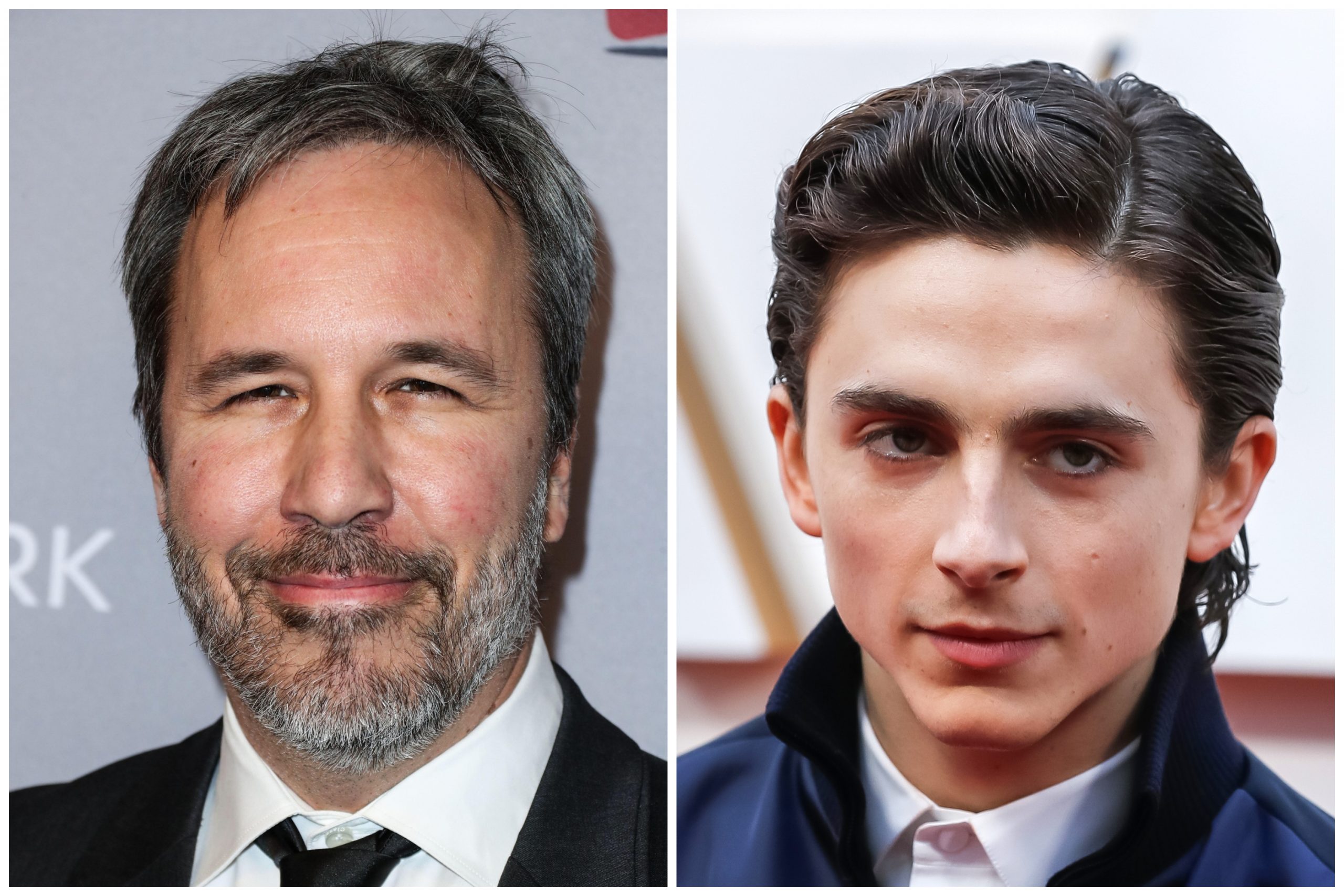 5 deni vilnev timoti salame, Foto: ImagePressAgency/ Face to Face / Profimedia, EPA-EFE DAVID SWANSON