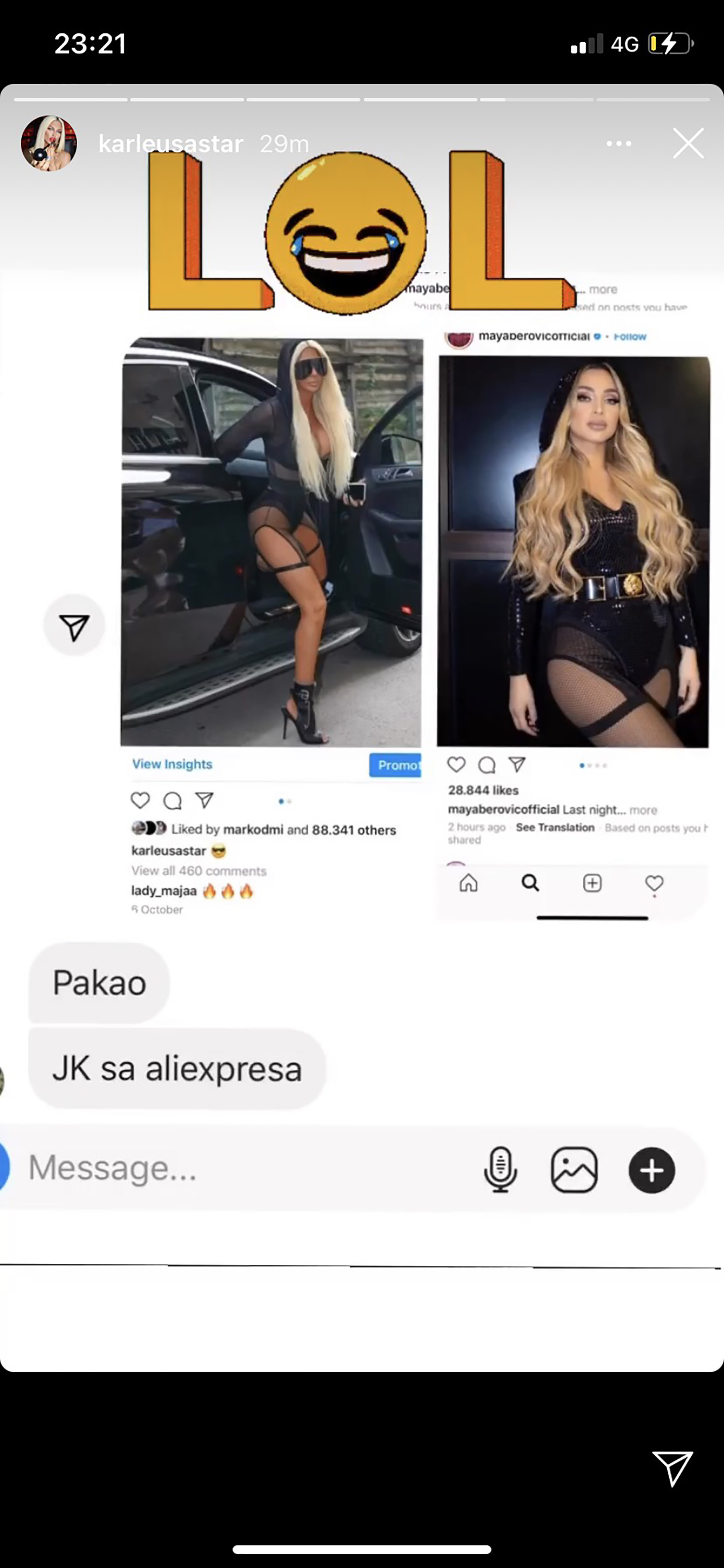 jelena karleusa
