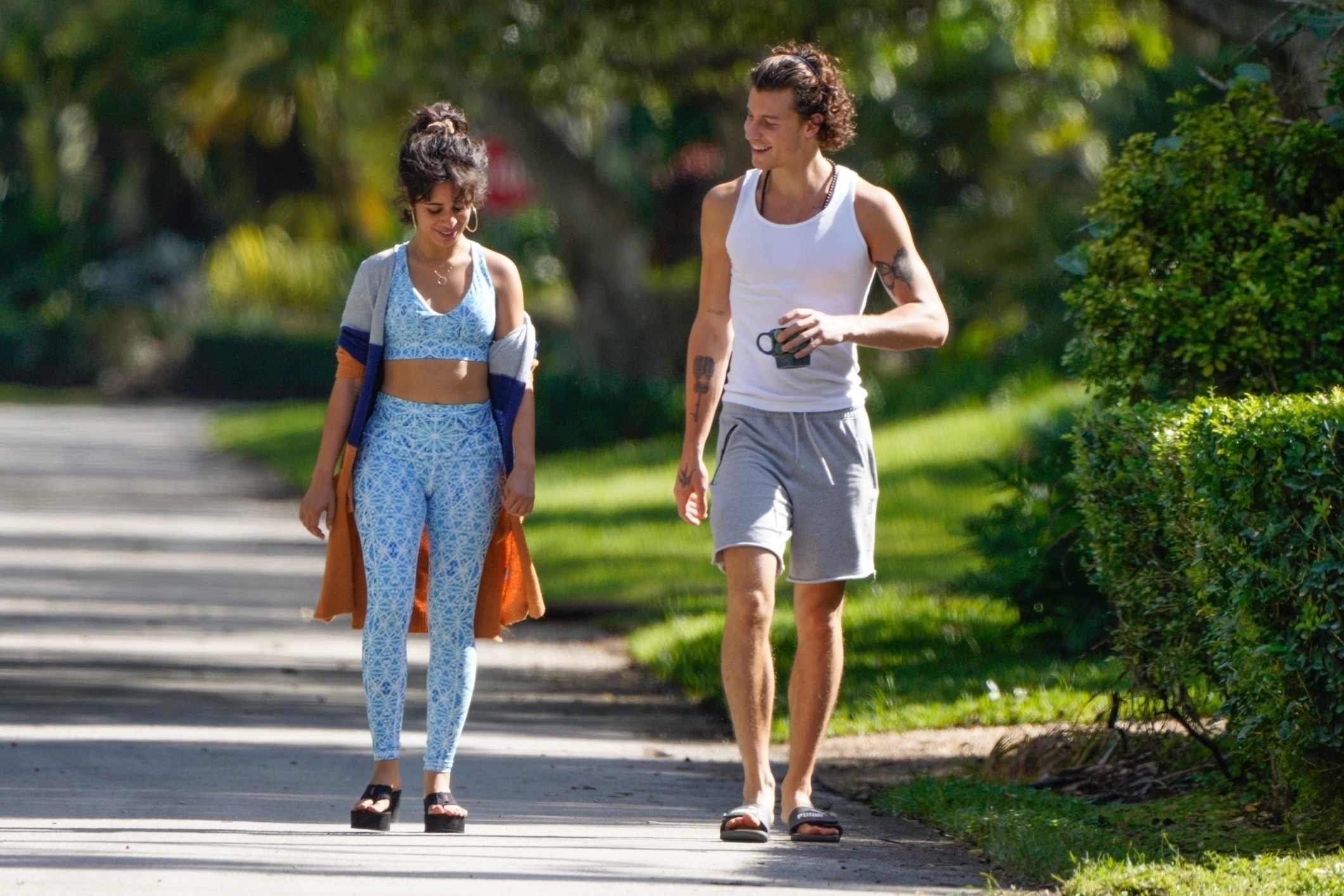 *EXCLUSIVE* Goodlooking couple Shawn Mendes and Camila Cabello enjoy a walk together