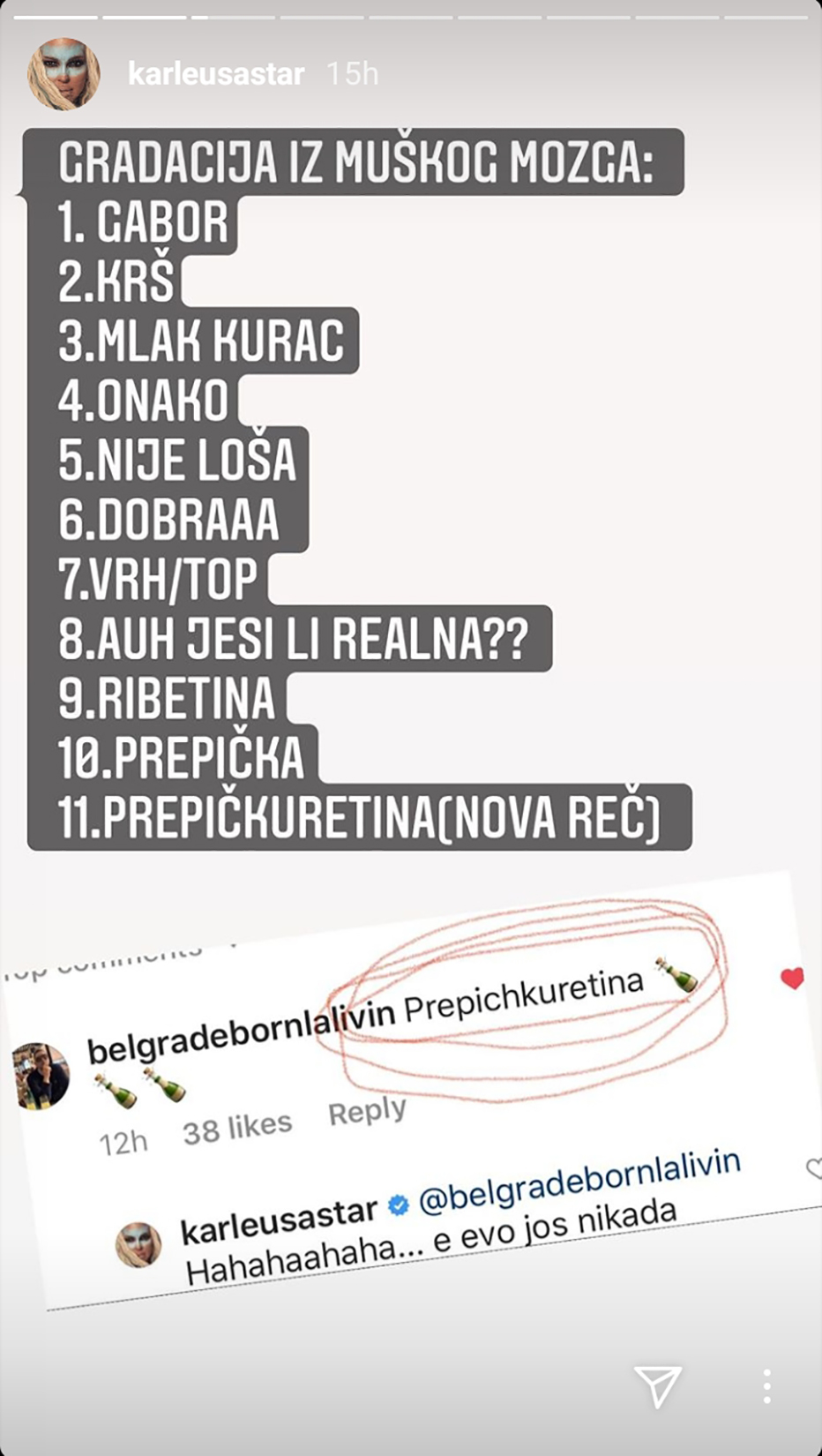 Jelena Karleuša, stori, story, instagram story Foto: Instagram/karleusastar