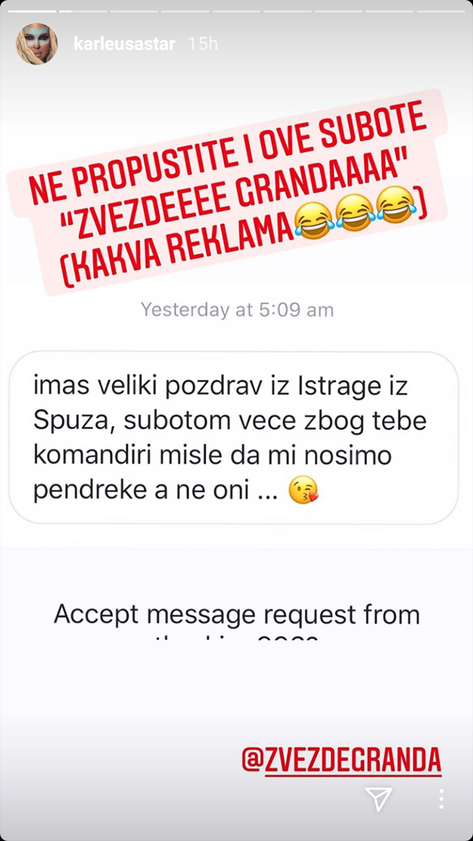 Jelena Karleuša, stori, story, instagram story Foto: Instagram/karleusastar