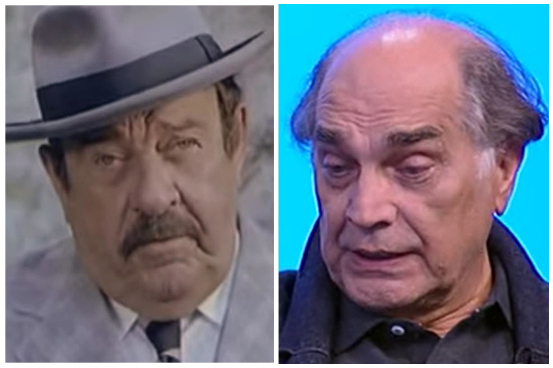 Pavle Vuisić, Voja Brajović