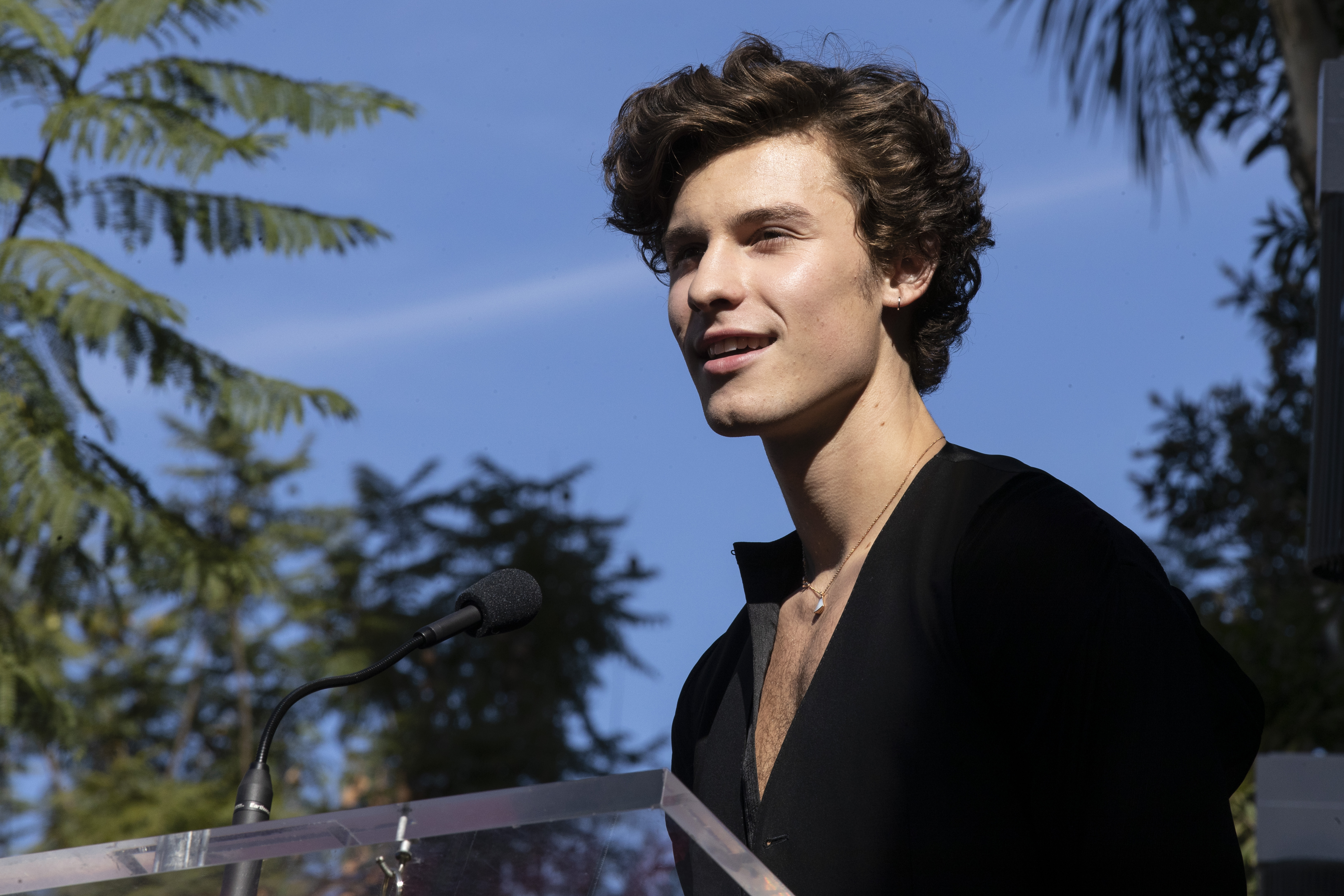 Lucian Grainge honored with a star on the Hollywood Walk of Fame