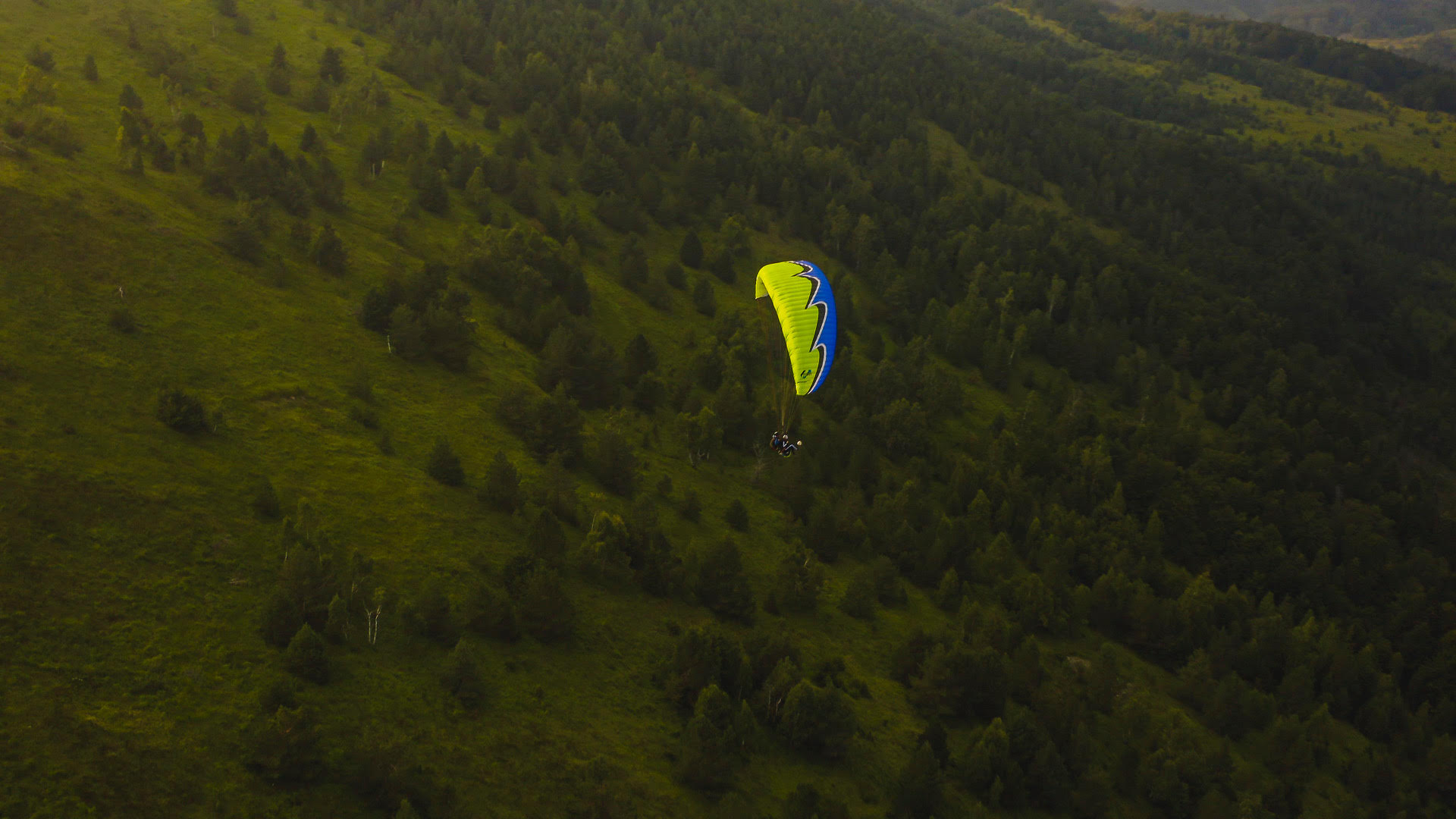 Đota, Djotafreestyle, Petar Lončar