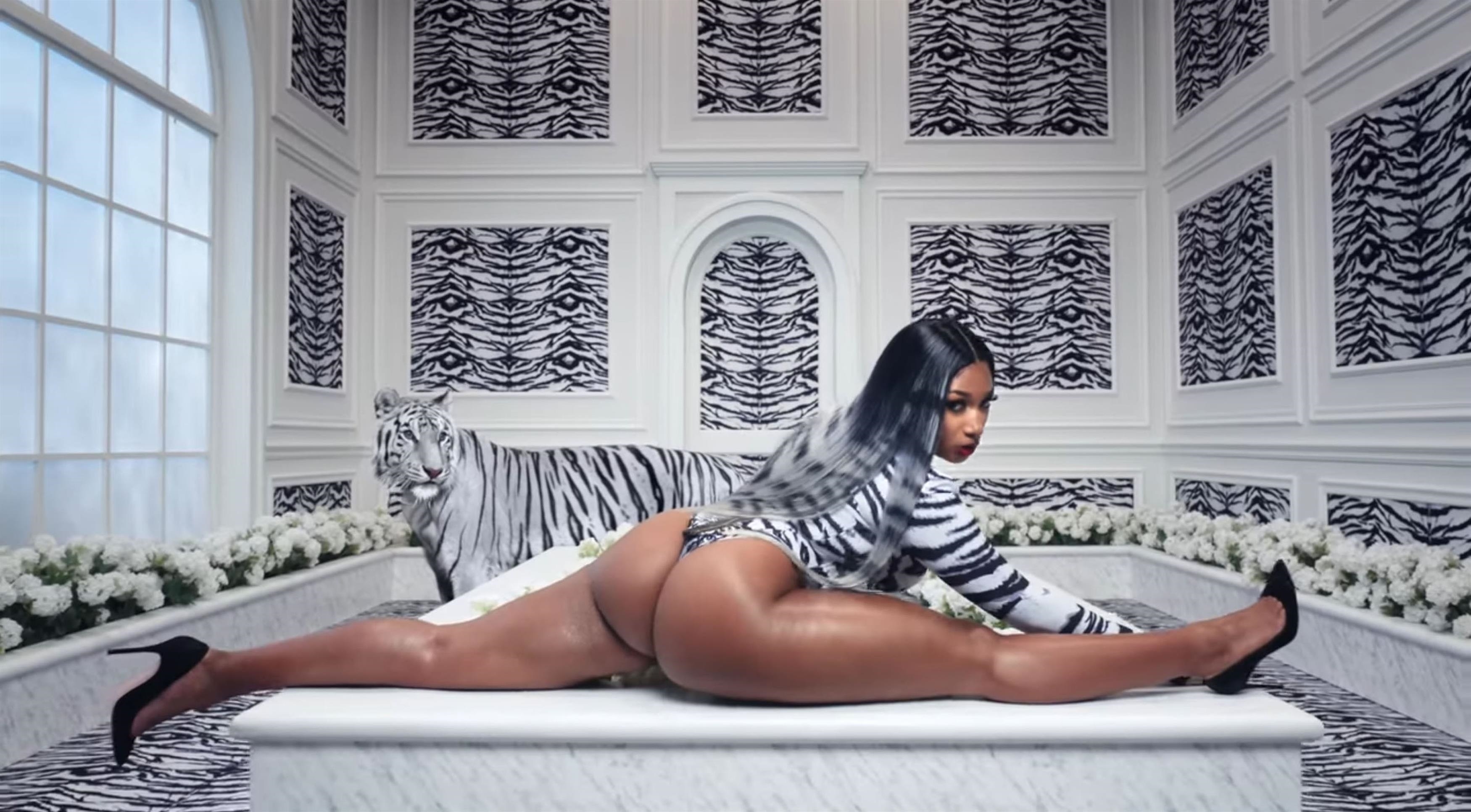Cardi B and Megan Thee Stallion release super raunchy music video for their new single WAP