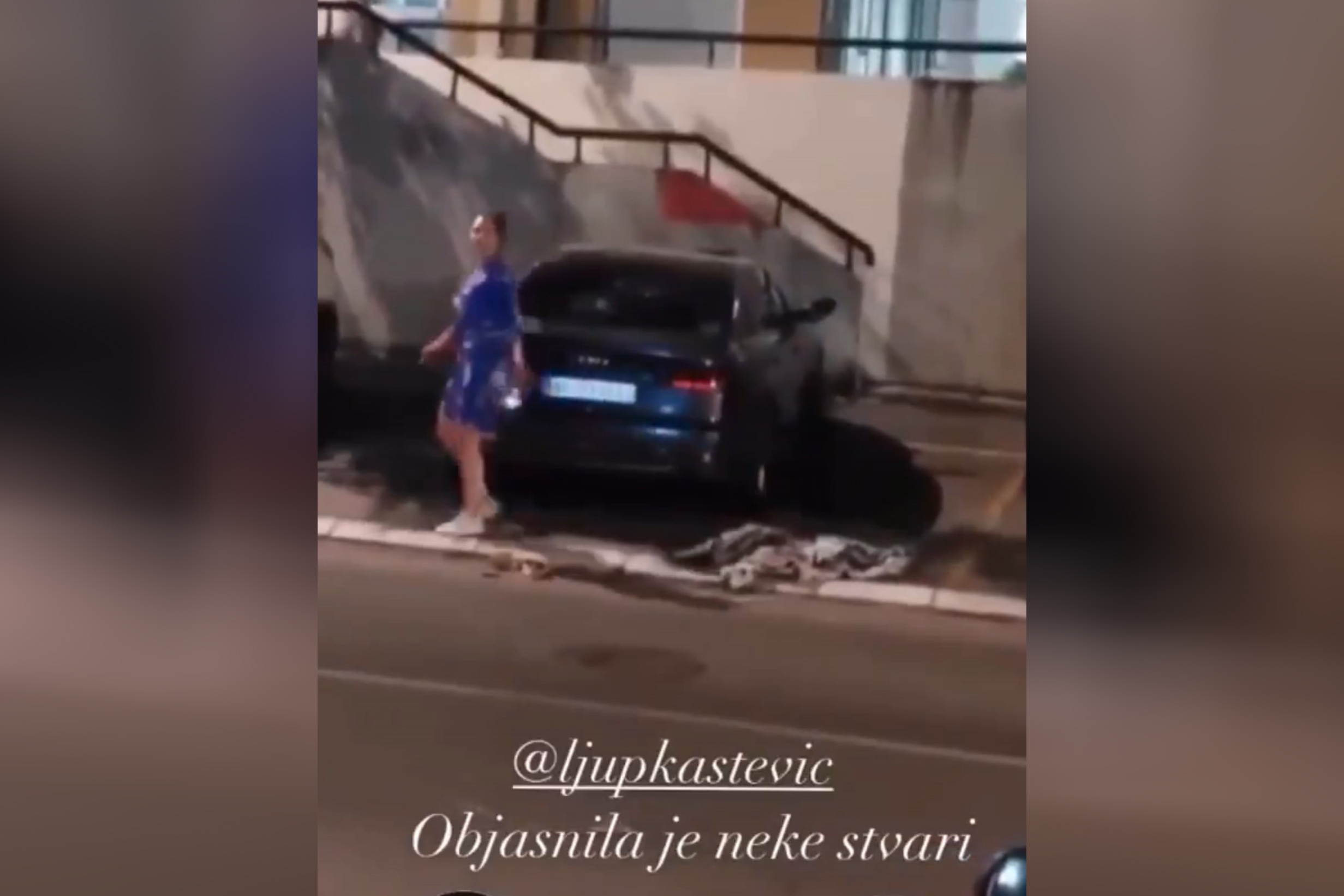 Ljupka Stević Foto: Printscreen/Twitter/Sumo ratnik/@Debela_zvezda