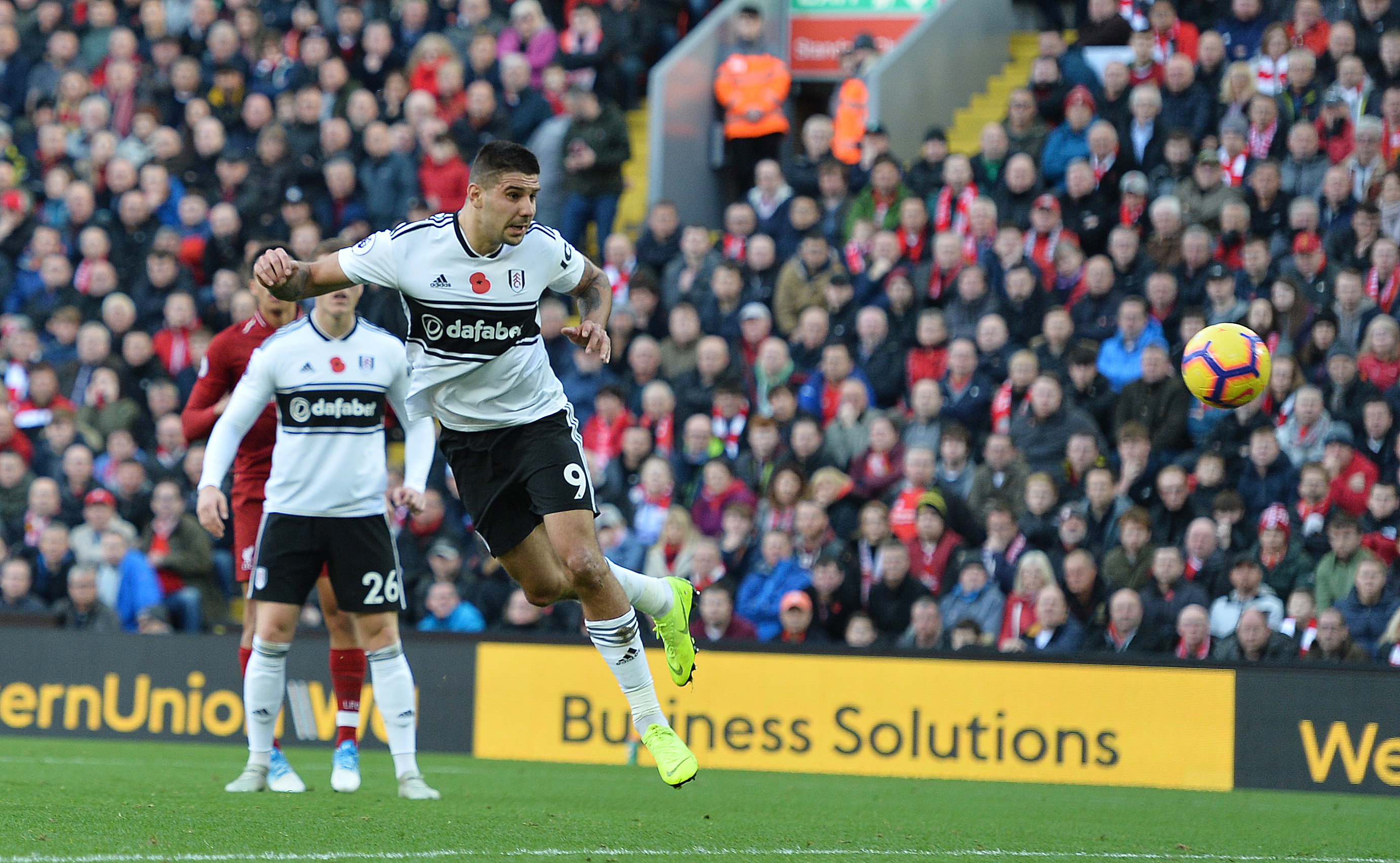 Aleksandar Mitrović