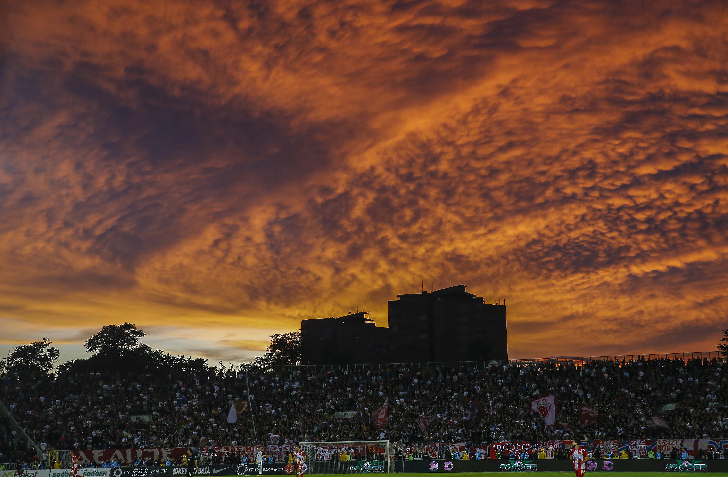 Fudbal Kup Srbije Season 2019-2020-Semi Final-Polufinale
Partizan v Crvena Zvezda
Beograd, 10.06.2020.
foto: Srdjan Stevanovic/Starsportphoto ©