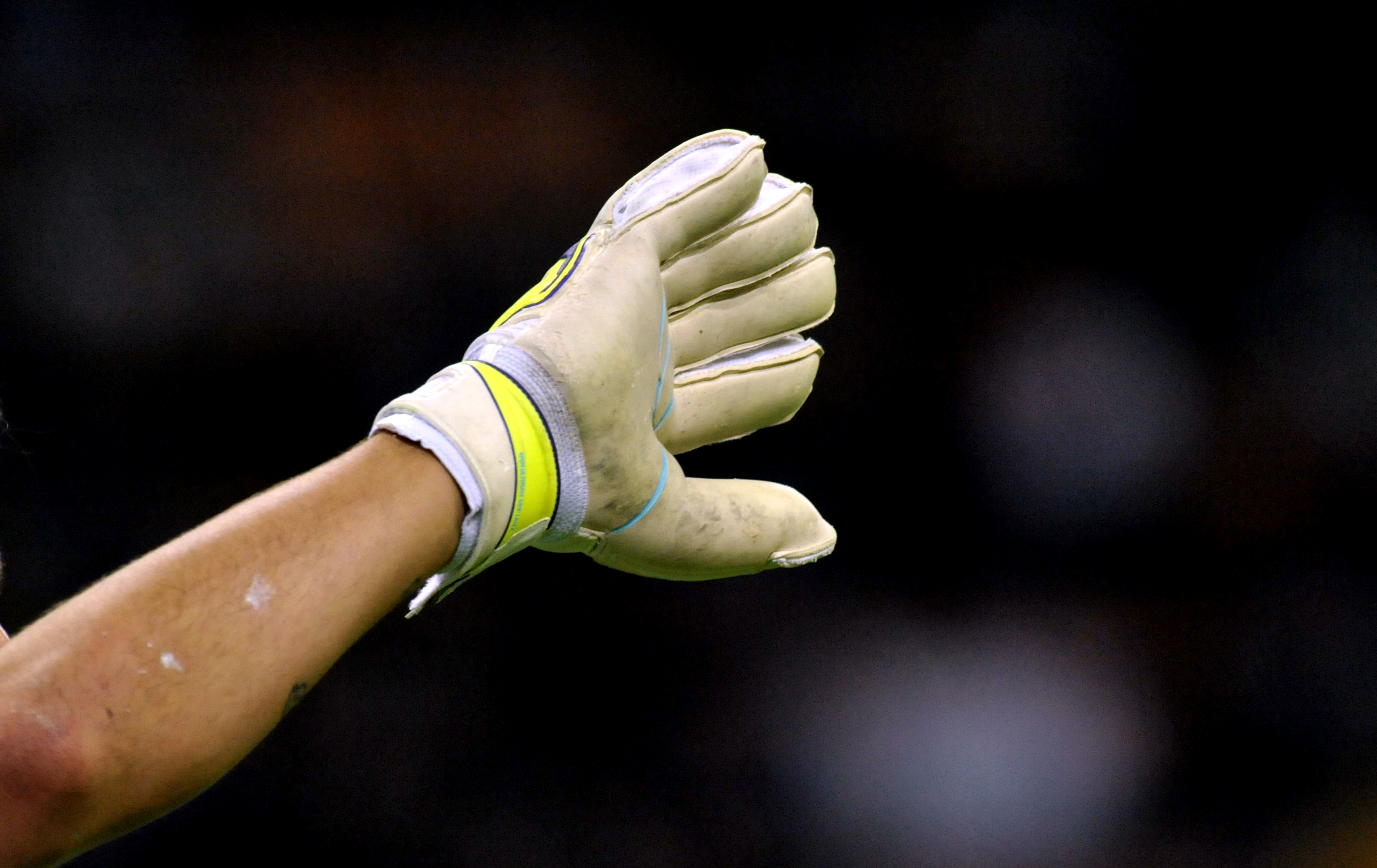 shutterstock_221758321