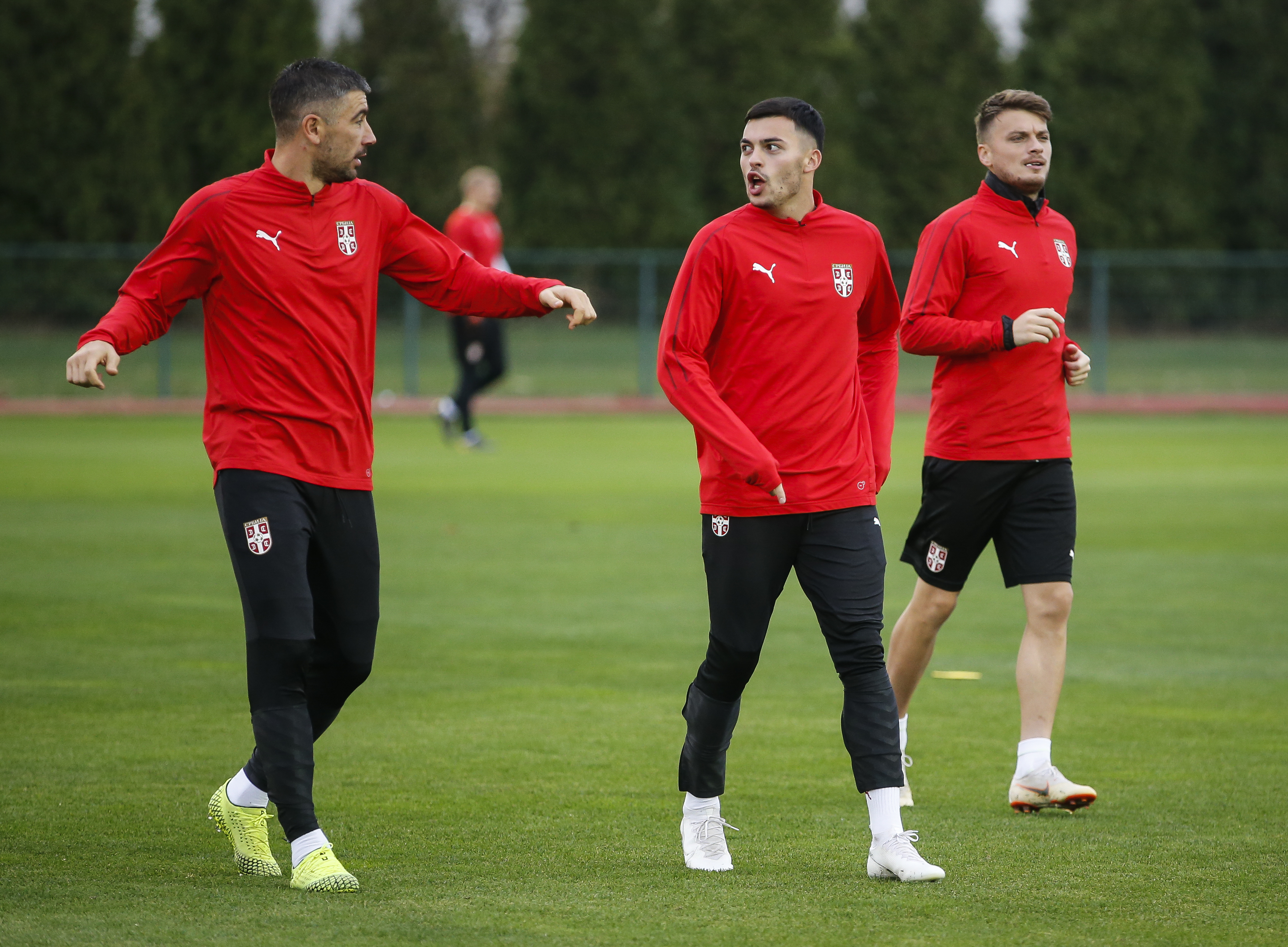 Reprezentacija Srbije: Foto: Srdjan Stevanovic/Starsportphoto