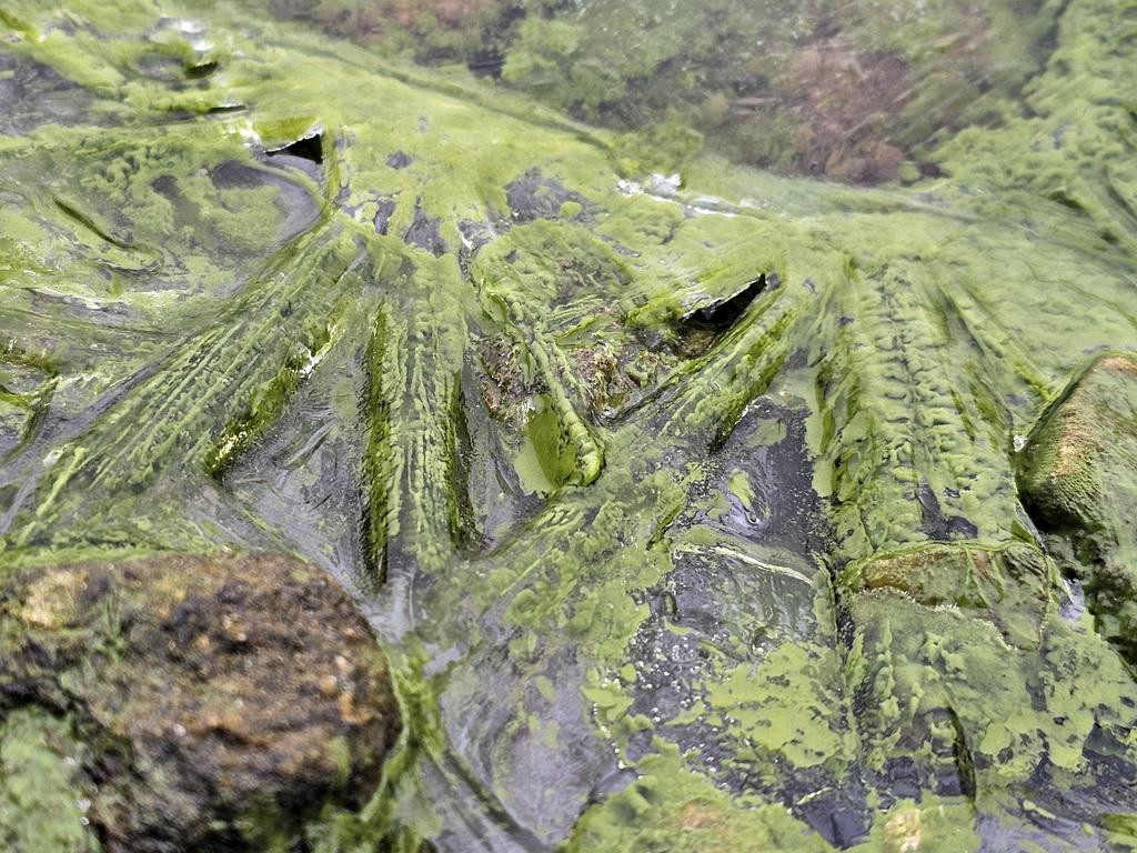 1767944981-38140087.jpg