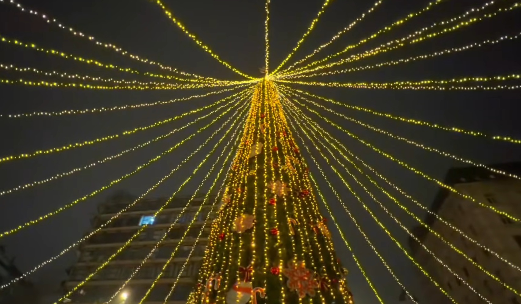 Novogodišnja jelka na Trgu republike 2