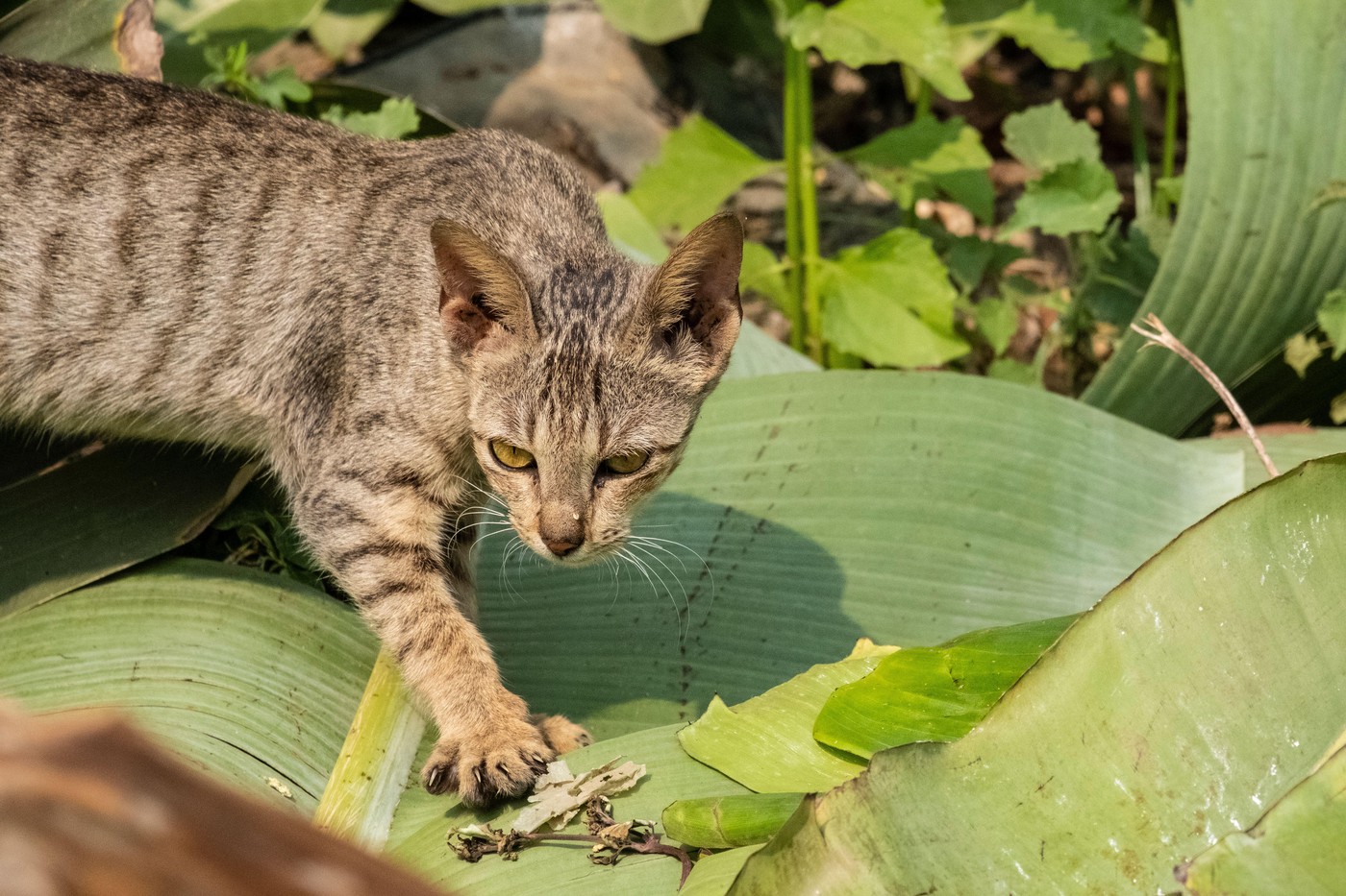 Image: 983266278, License: Rights-managed, Restrictions: , Model Release: no, Credit line: wayfarer / Alamy / Profimedia