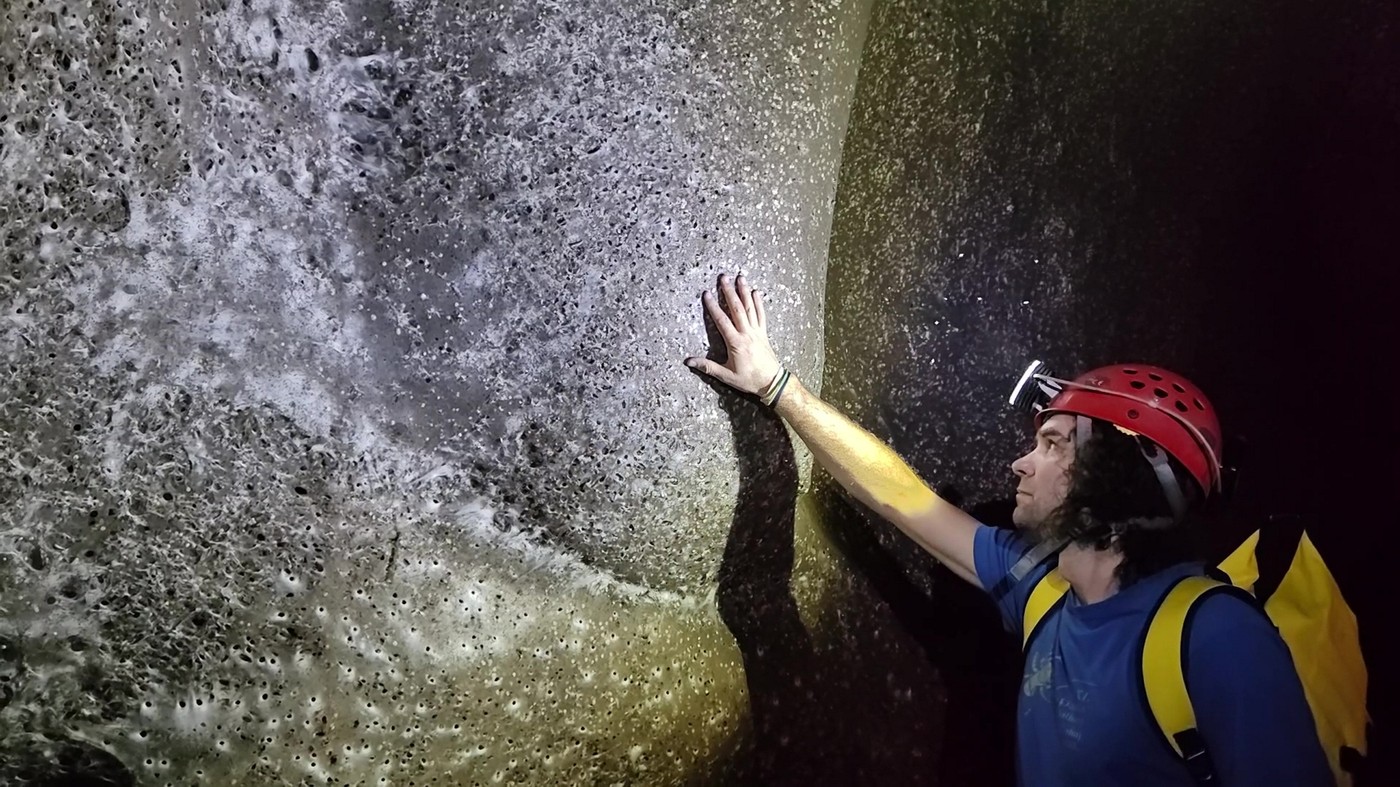 World's largest spider web discovered