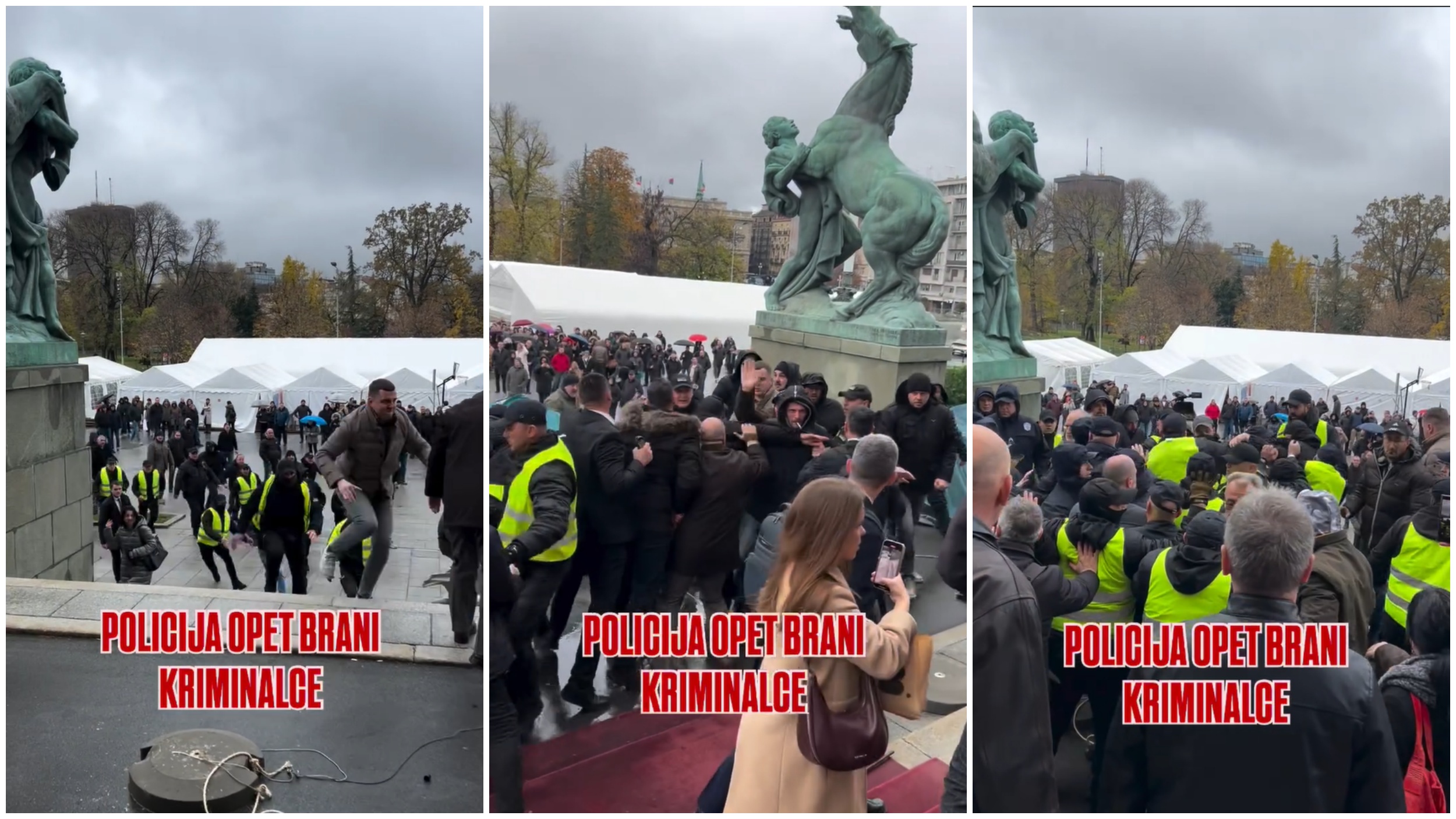 Tuča, napad, Skupština Srbije Foto: Printscreen/Instagram/_natalija_stojmenovic