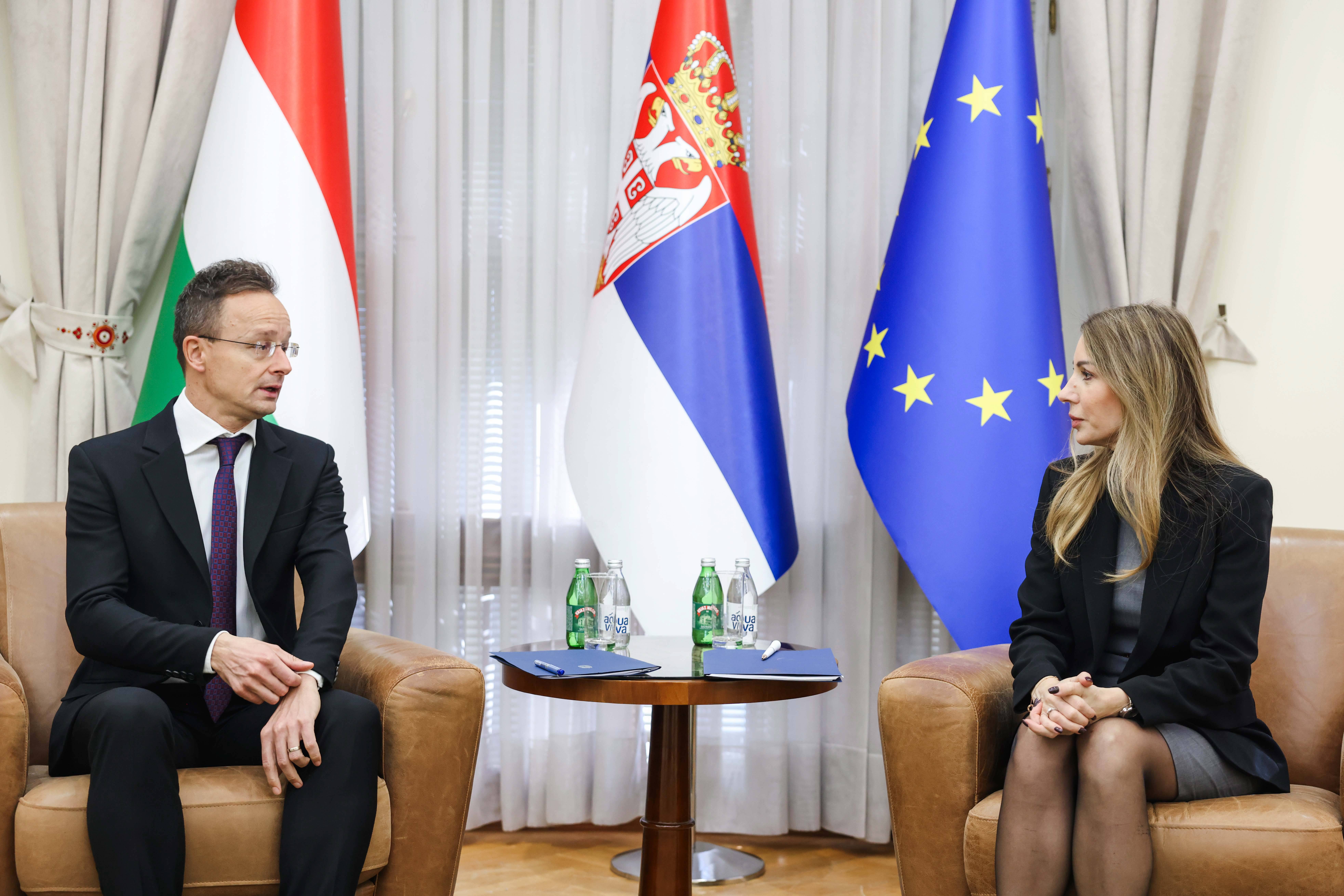 DUBRAVKA DJEDOVIC HANDANOVIC - PETER SIJARTO