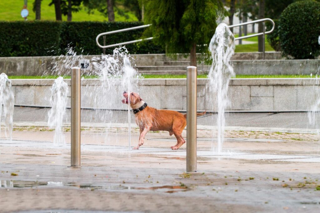 Image: 351319059, License: Rights-managed, Restrictions: , Model Release: no, Credit line: Anca Enache / Alamy / Profimedia