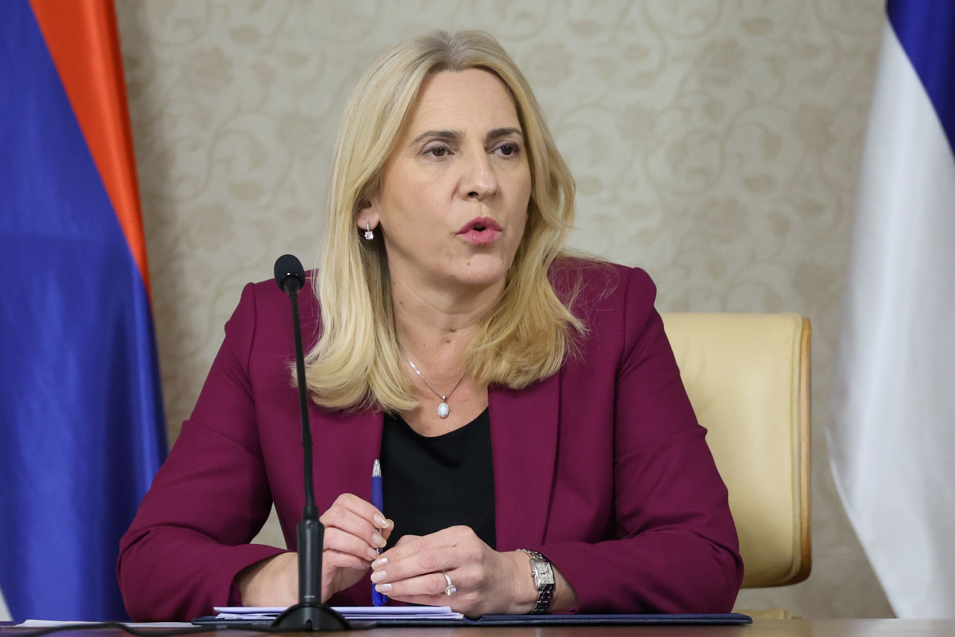 Presidency of Bosnia and Herzegovina Chairwoman Zeljka Cvijanovic's press conference in Sarajevo