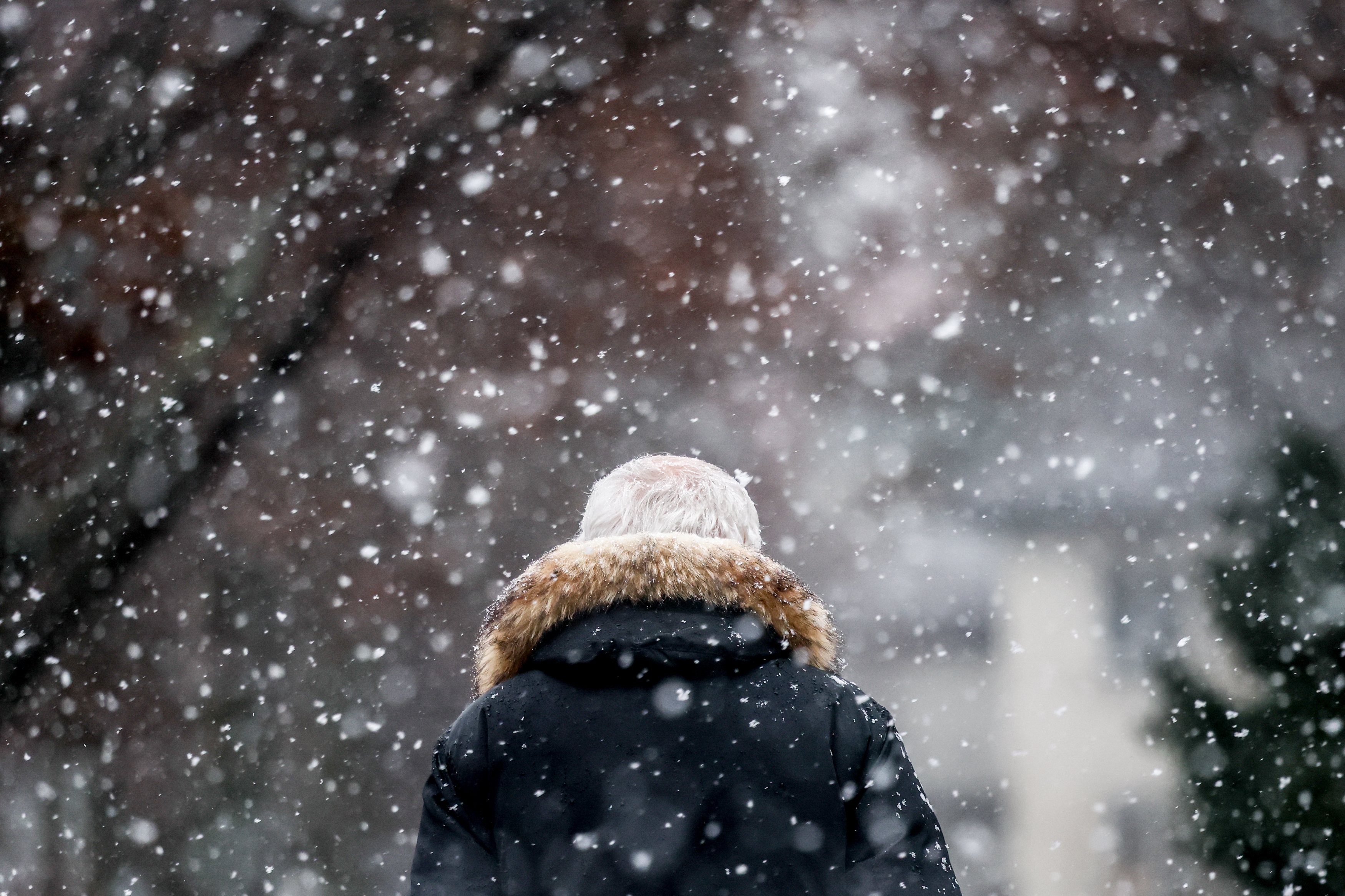 epa12621710 A pedestrian walks under falling snow during a cold weather day in Berlin, Germany, 02 January 2026. Berlin and other parts of Germany continue to experience cold temperatures.  EPA/Filip Singer