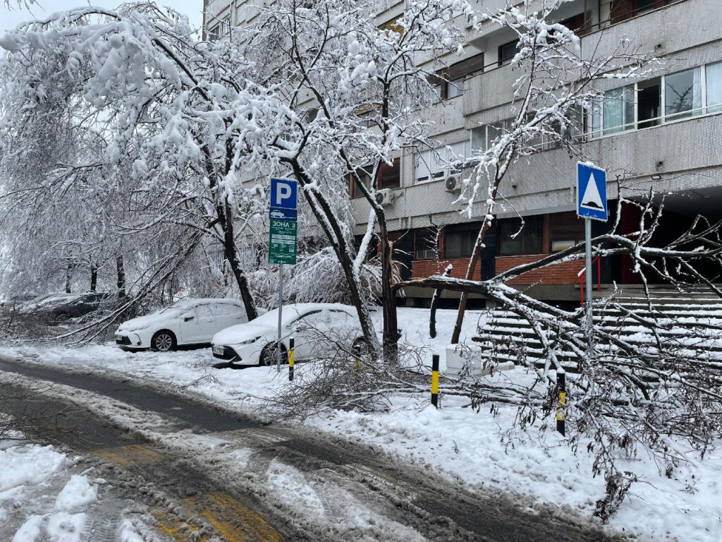 Mesto: Beograd
Datum: Mon Jan 05 09:51:41 CET 2026
Dogadjaj: DRUŠTVO - vlažan i težak sneg izlomio je grane na drveću i napravio probleme u saobraćaju u bogradu
Fotoreporter: Ivana Šanjević
Izvor: FoNet