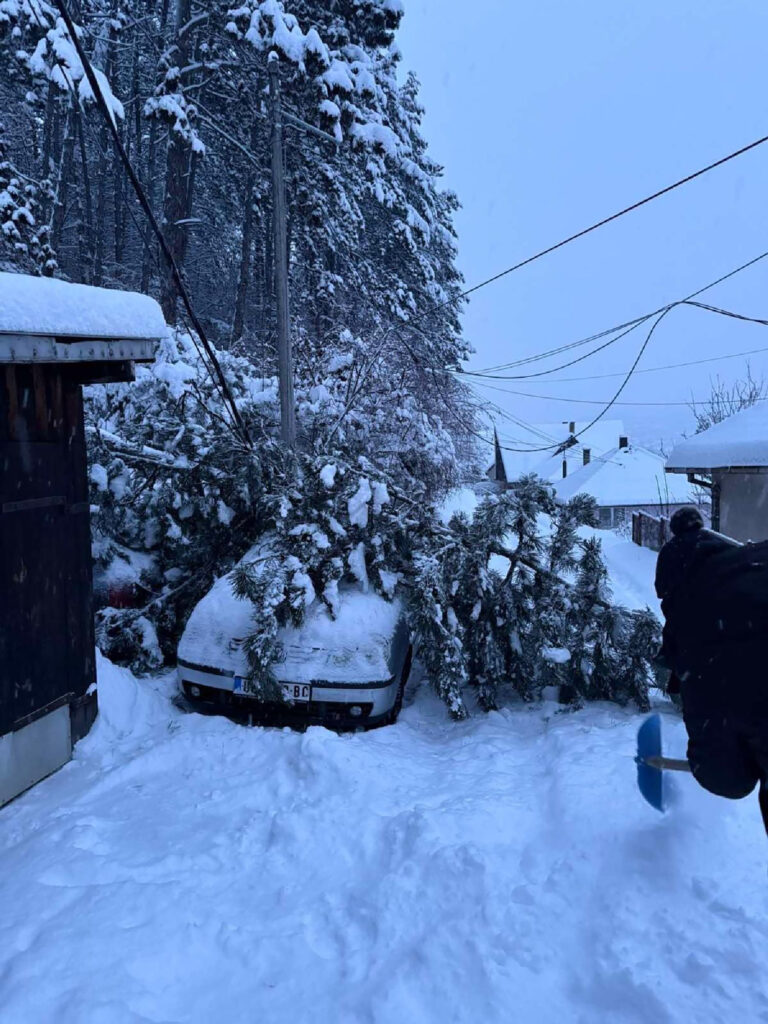 Mesto: Srbija
Datum: Fri Jan 09 15:56:09 CET 2026
Dogadjaj:  DRUŠTVI - sve ekipe EPS su na terenu i oćekuje se da Majdanpek i Loznice sa okolinom tokom dana dobiju električnu energiju
Izvor: FoNet/EPS