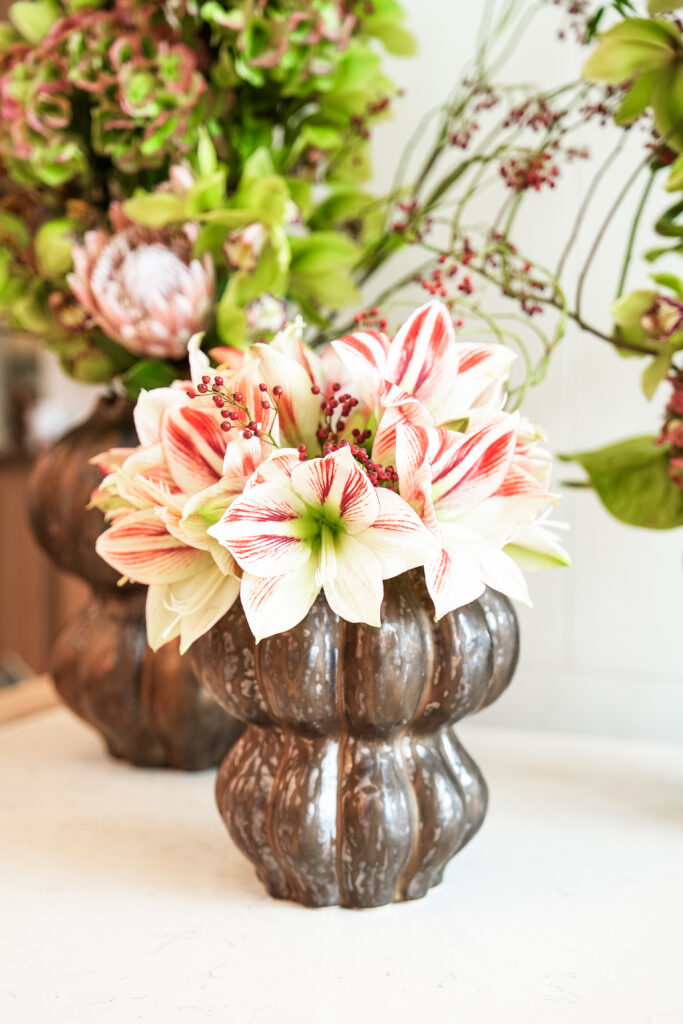 Tagovi: PR, St. Regis, Čajanka,