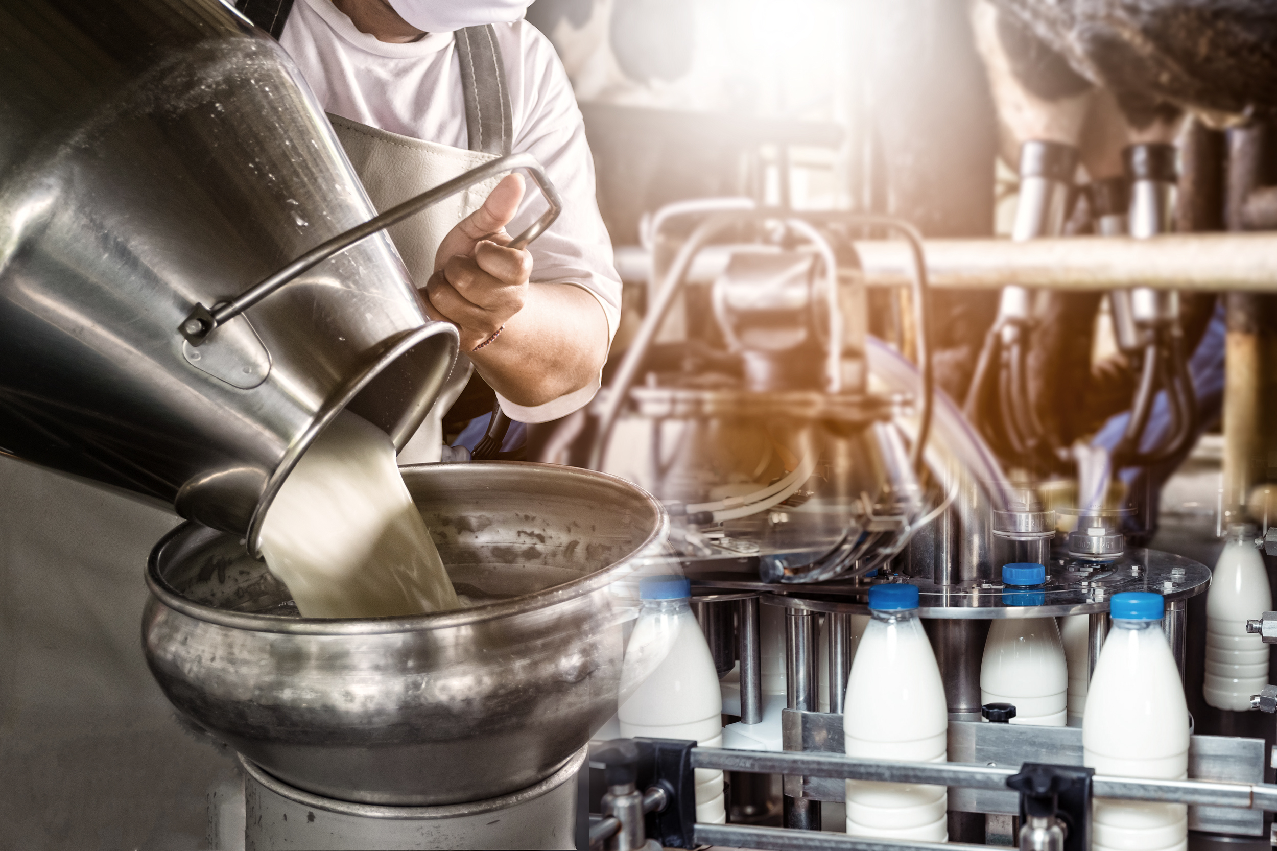 Farmer pouring raw milk into container with milking machine milking in dairy farm. mleko poskupljenje nestasica
