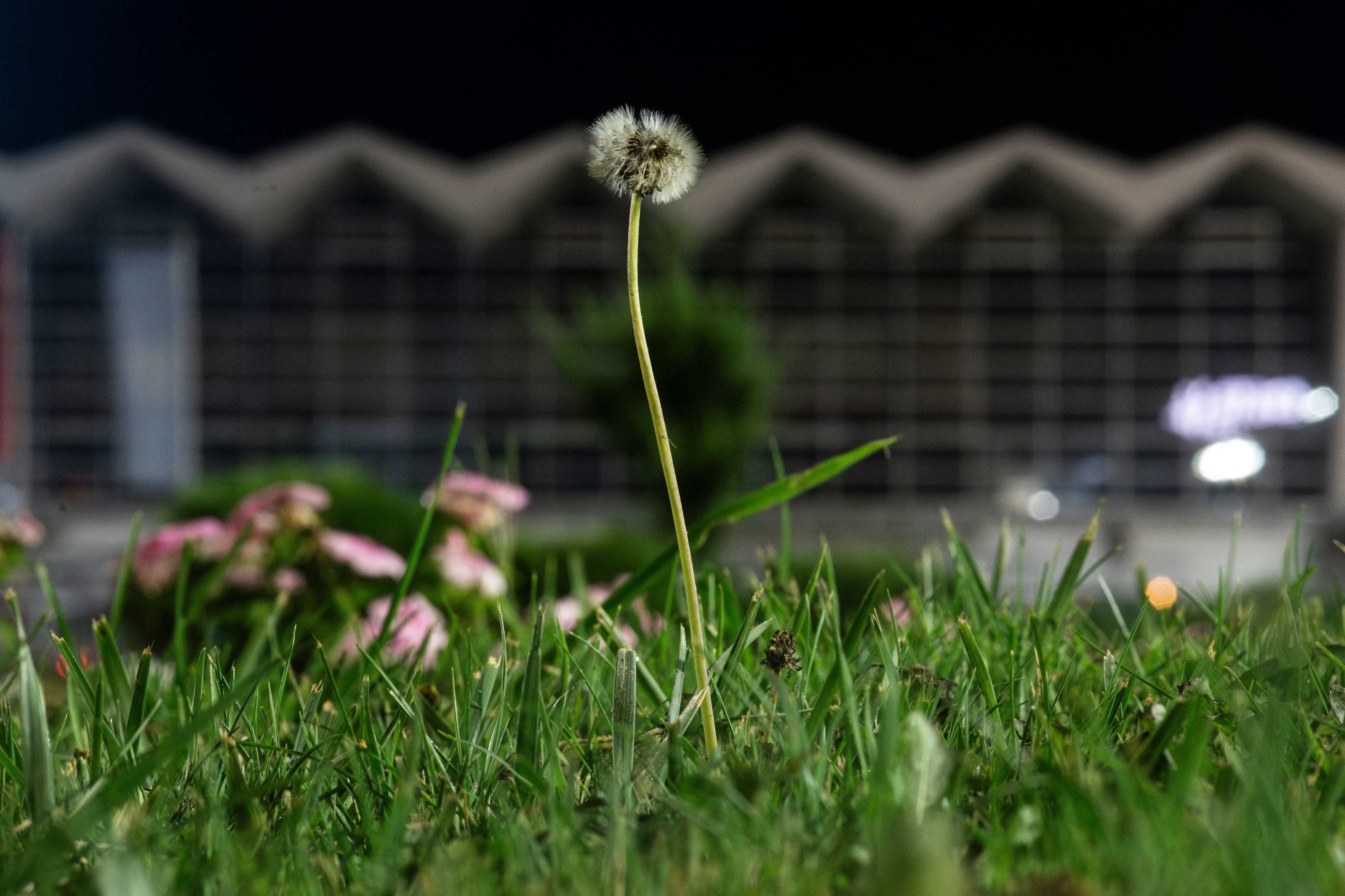 Memorial March In Novi Sad, Serbia - 02 Aug 2025