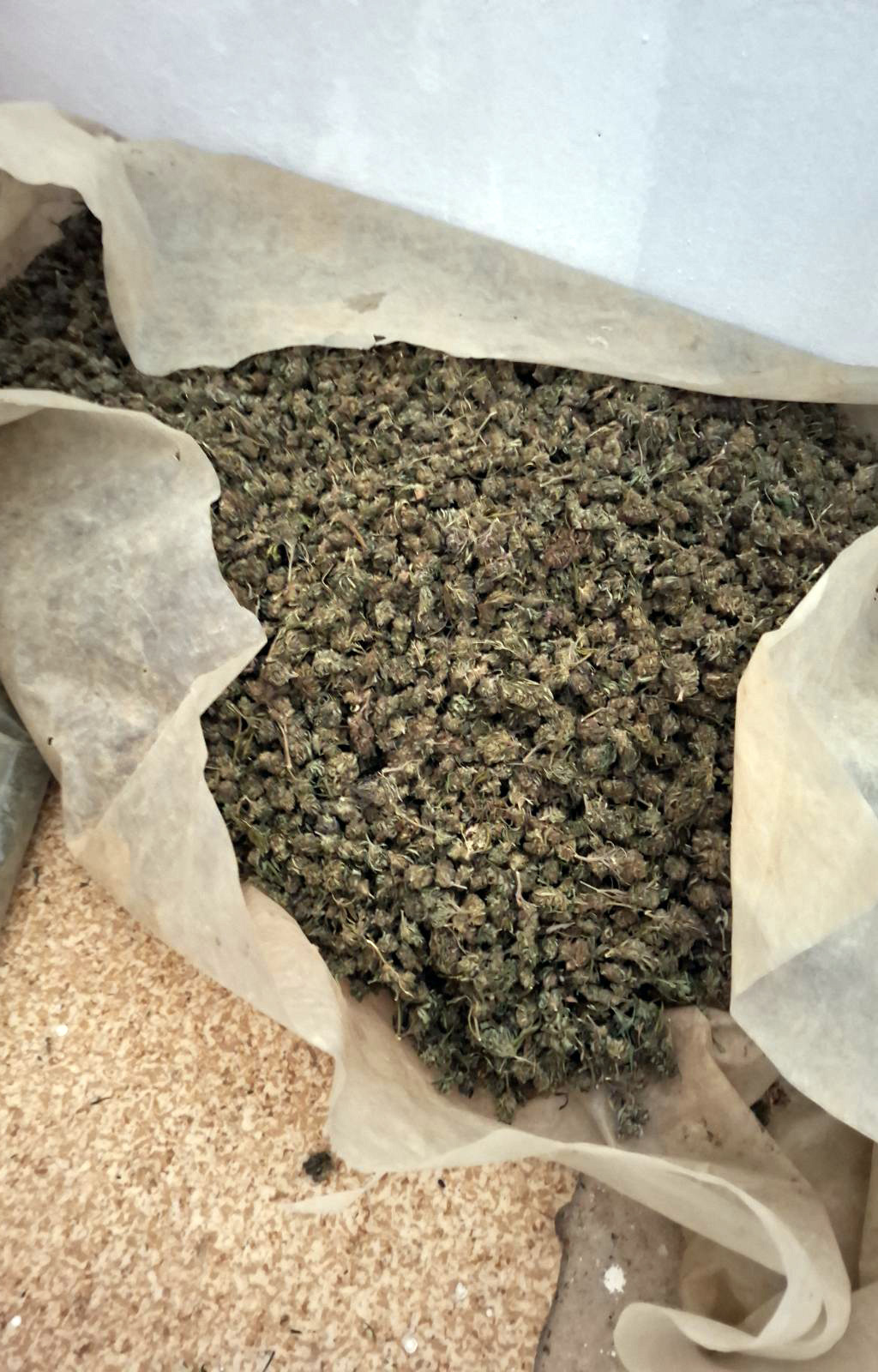 Zaplena 356 kg marihuane