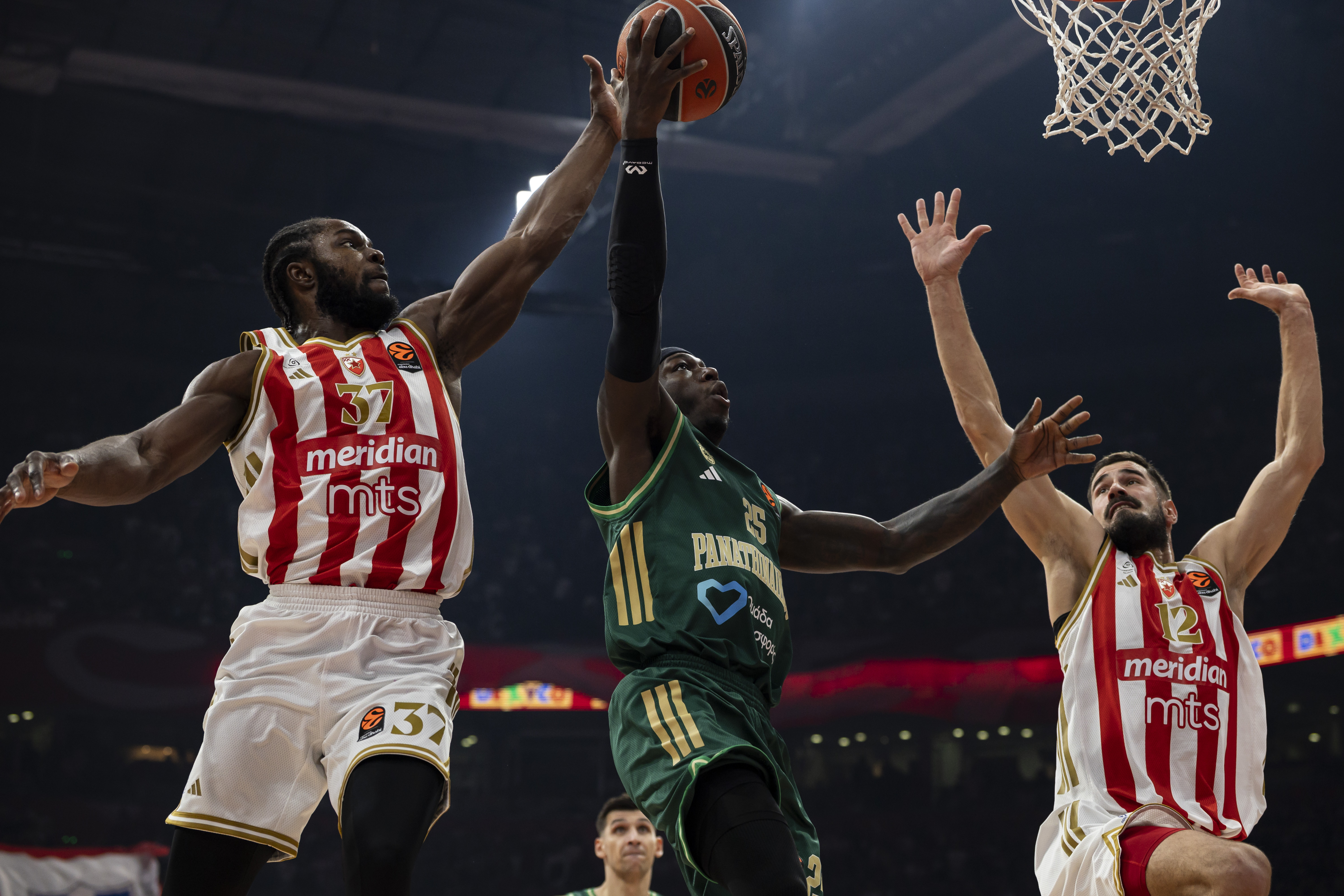 ZVEZDA-PANATHINAIKOS_029