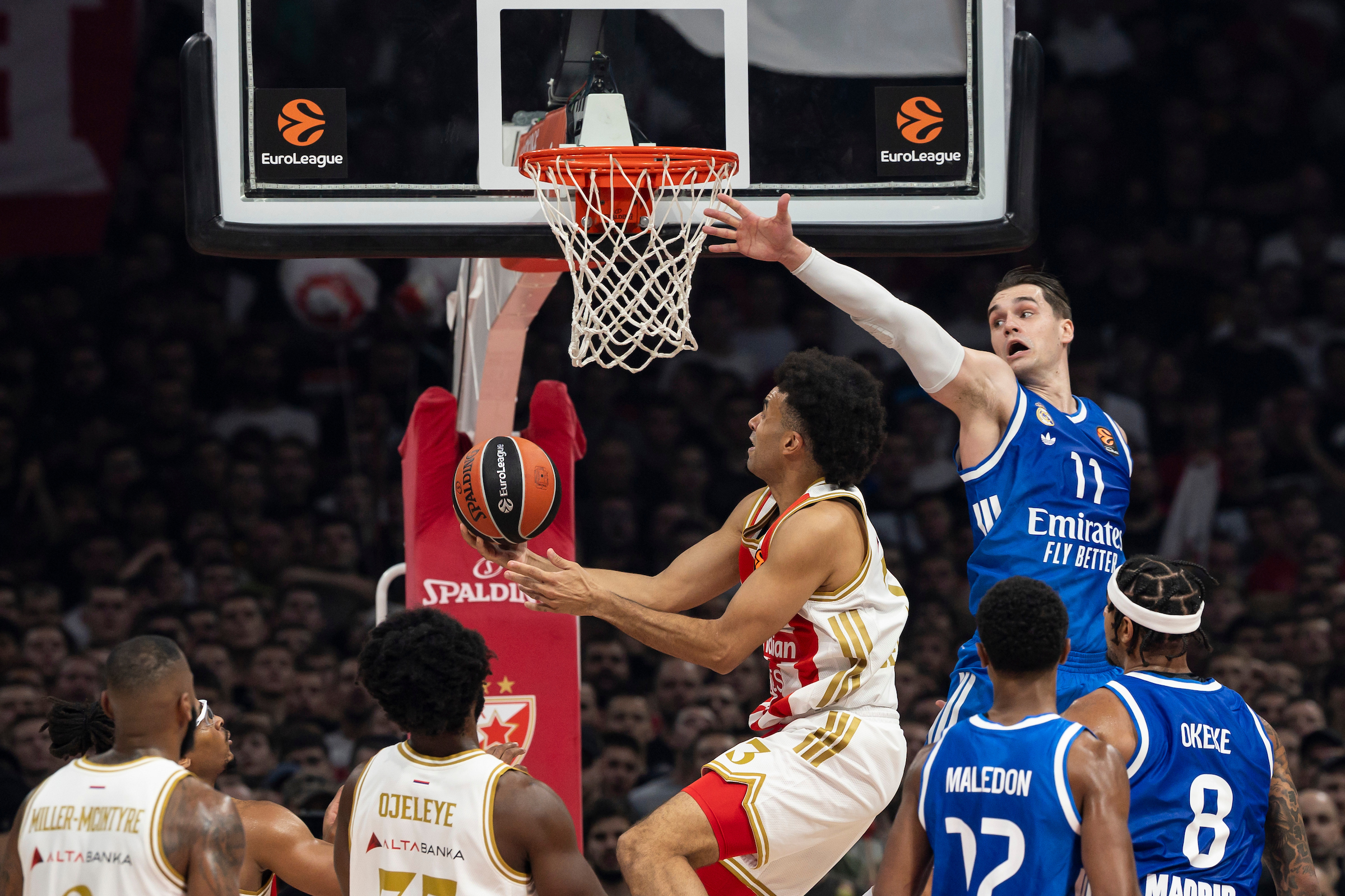 Crvena Zvezda Meridianbet Belgrade v real Madrid - Euroleague 2025/2026
