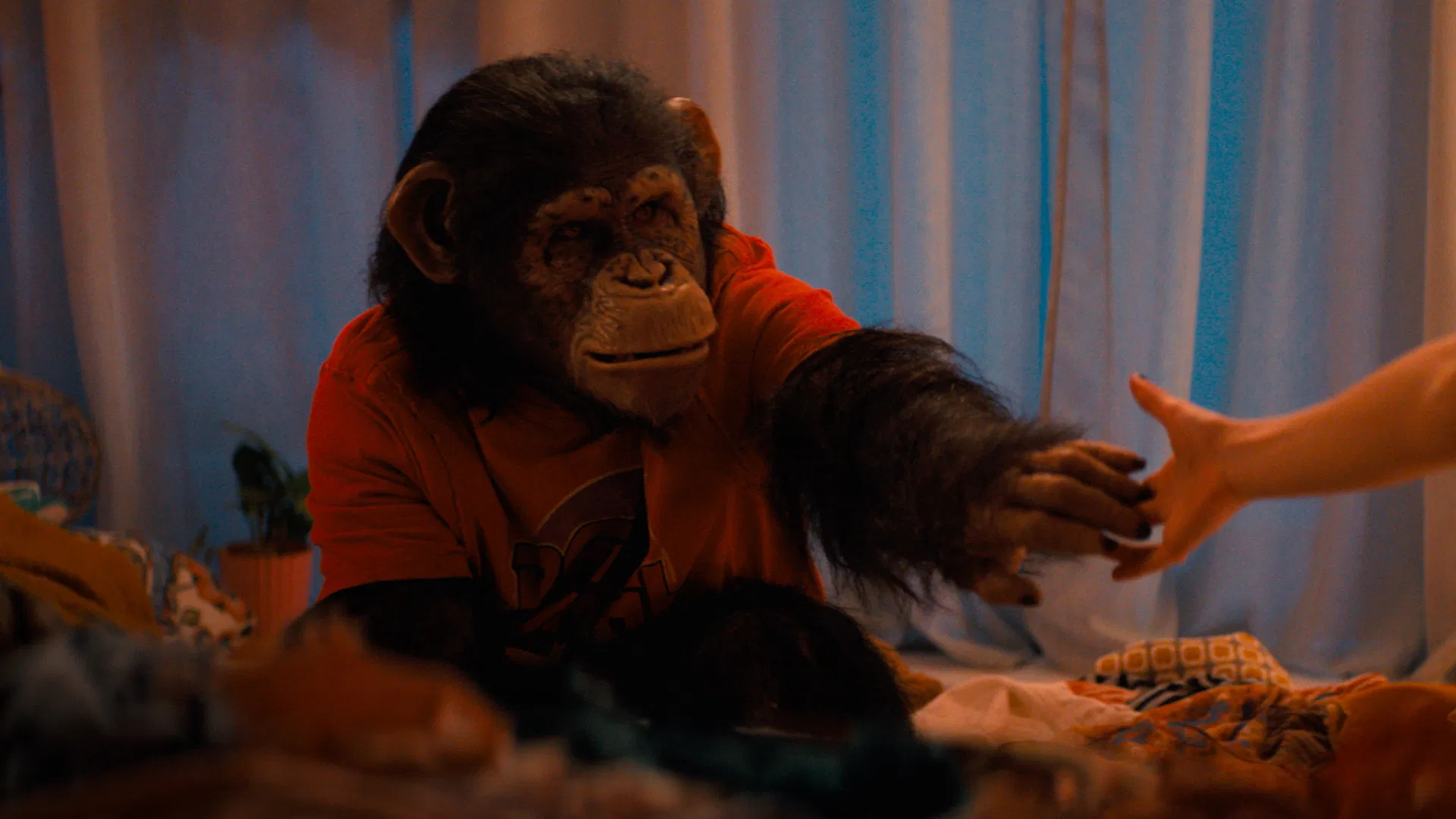 "Primate" / Foto: Taramount Film