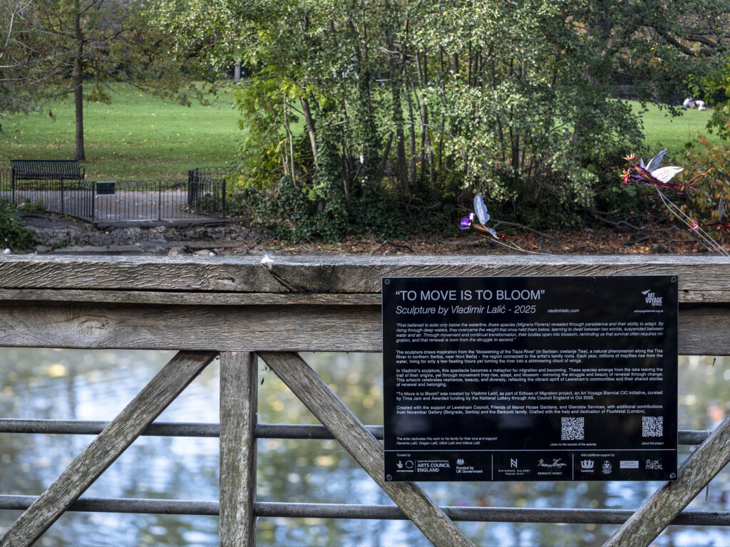 'To Move is to Bloom' artwork photography on-location in Manor House Gardens for artist Vladimir Lalic. November 2025.