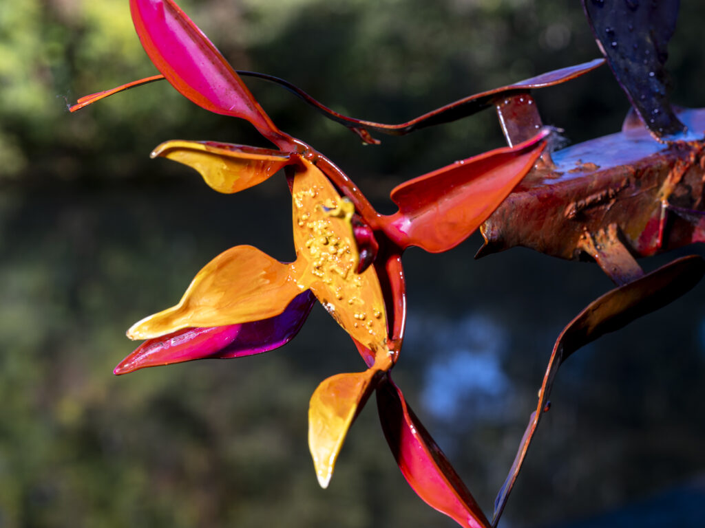 'To Move is to Bloom' artwork photography on-location in Manor House Gardens for artist Vladimir Lalic. October 2025.