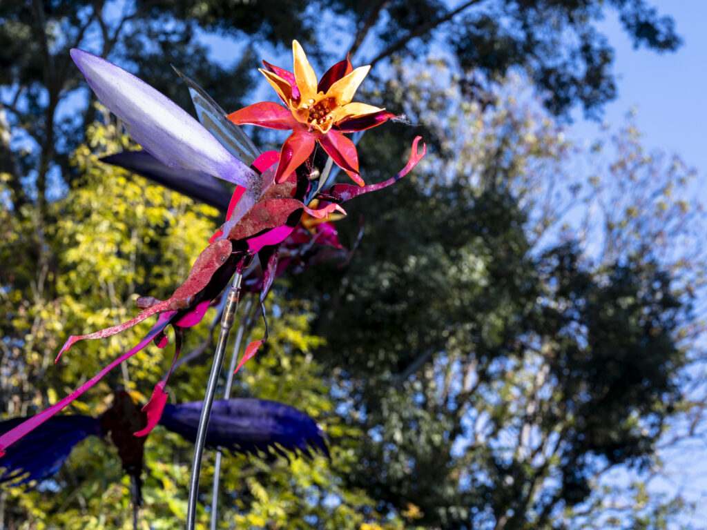'To Move is to Bloom' artwork photography on-location in Manor House Gardens for artist Vladimir Lalic. October 2025.