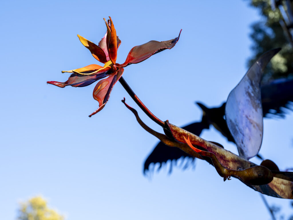 'To Move is to Bloom' artwork photography on-location in Manor House Gardens for artist Vladimir Lalic. October 2025.