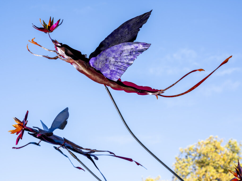 'To Move is to Bloom' artwork photography on-location in Manor House Gardens for artist Vladimir Lalic. October 2025.