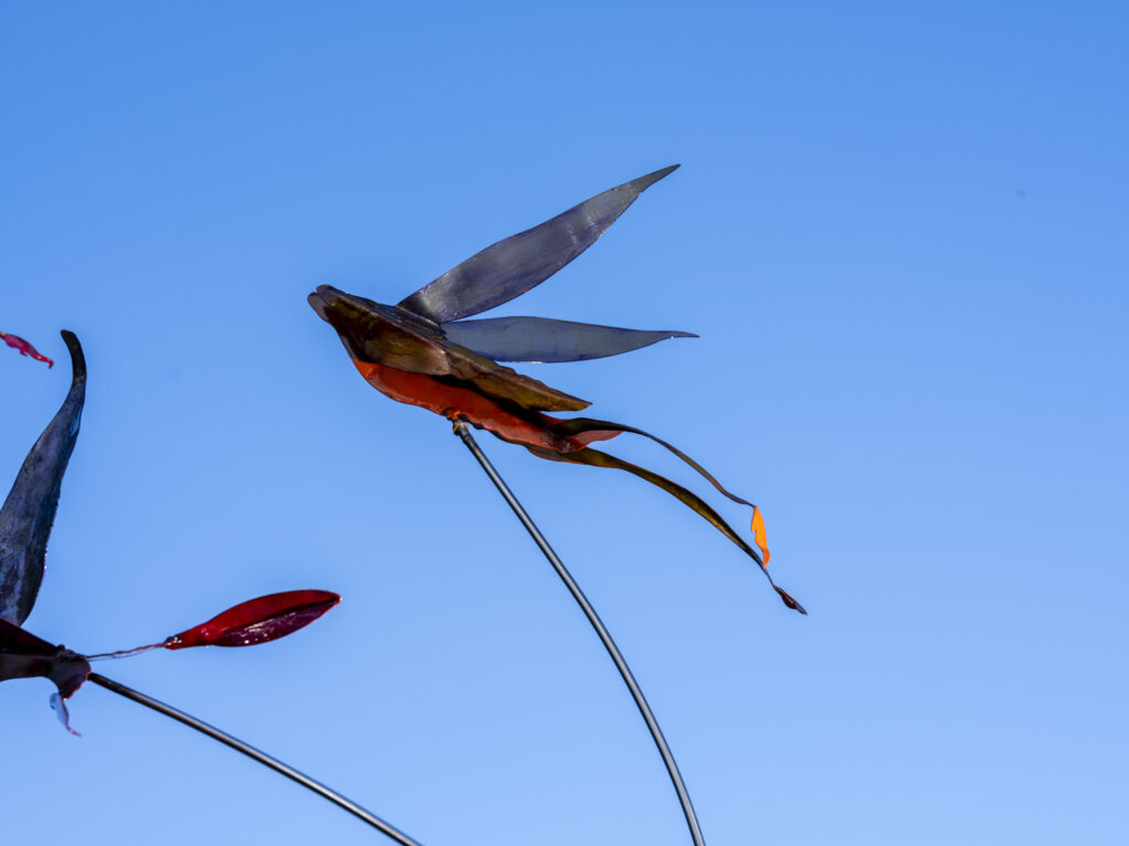 'To Move is to Bloom' artwork photography on-location in Manor House Gardens for artist Vladimir Lalic. October 2025.