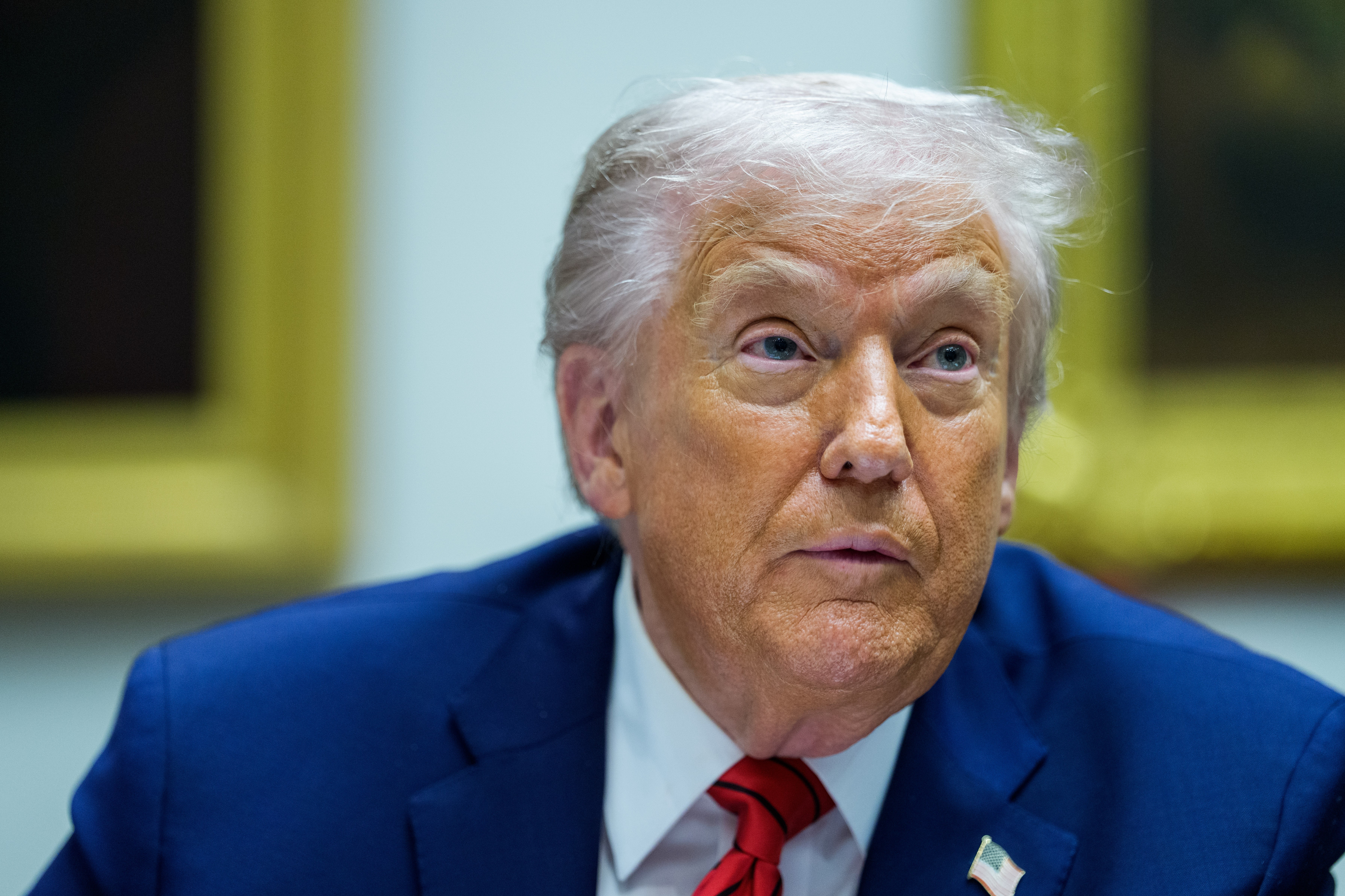 US President Donald Trump Roundtable With Hi-Tech Business Executives