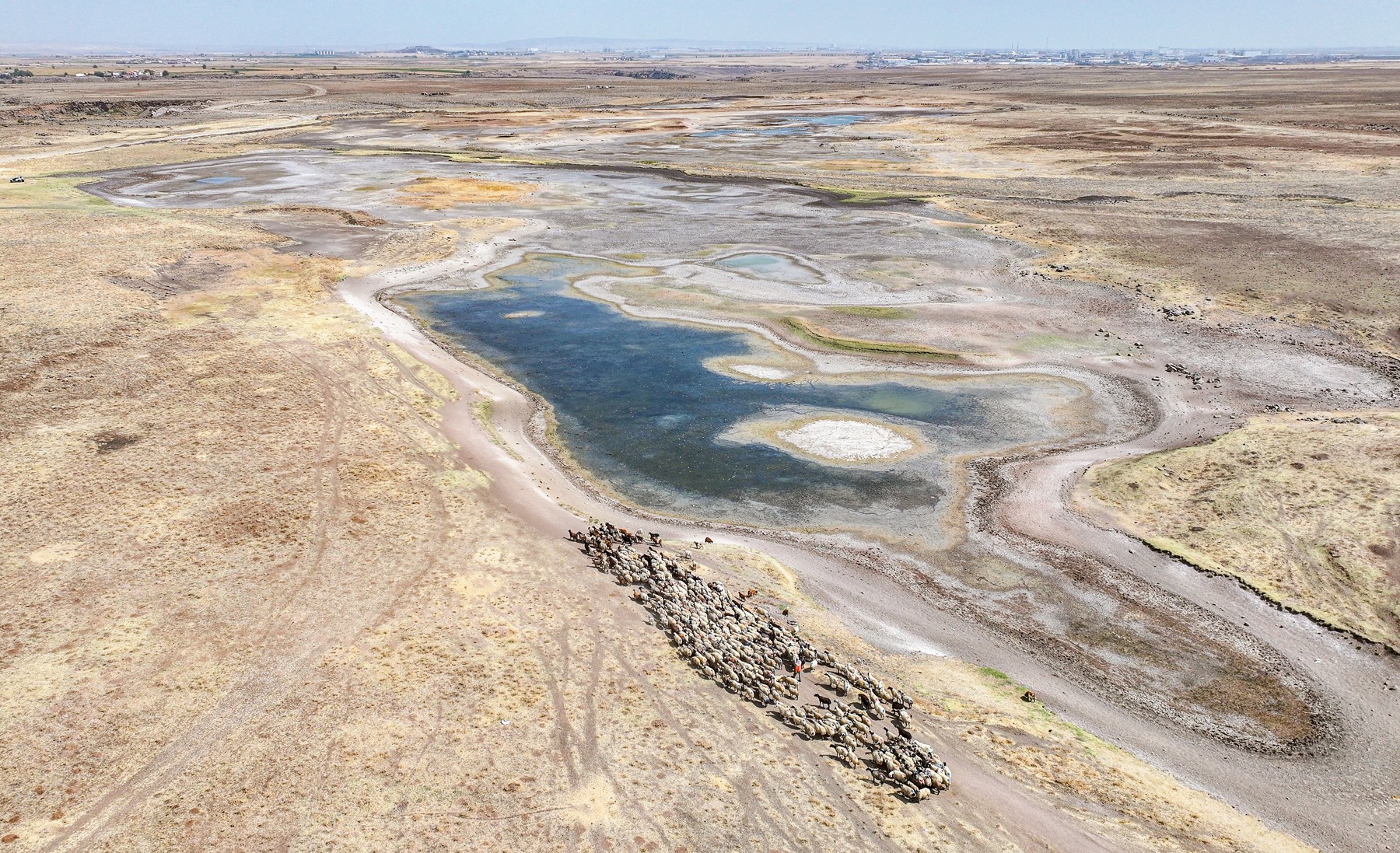 profimedia-1037814047