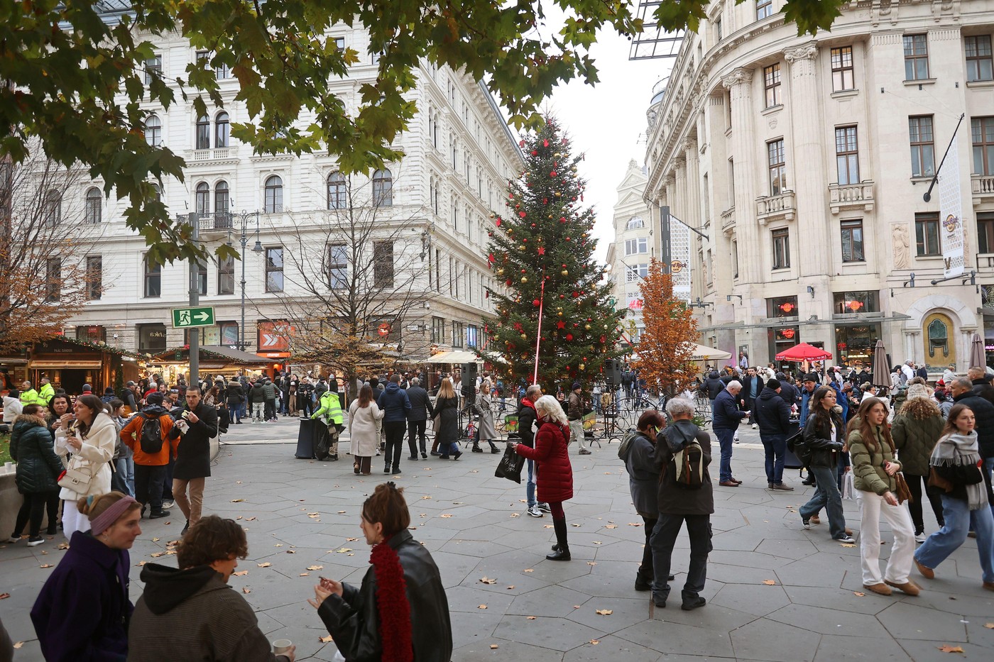 Image: 1053298617, License: Royalty-free, Restrictions: , Model Release: no, Credit line: Kamilla Patera / Alamy / Profimedia